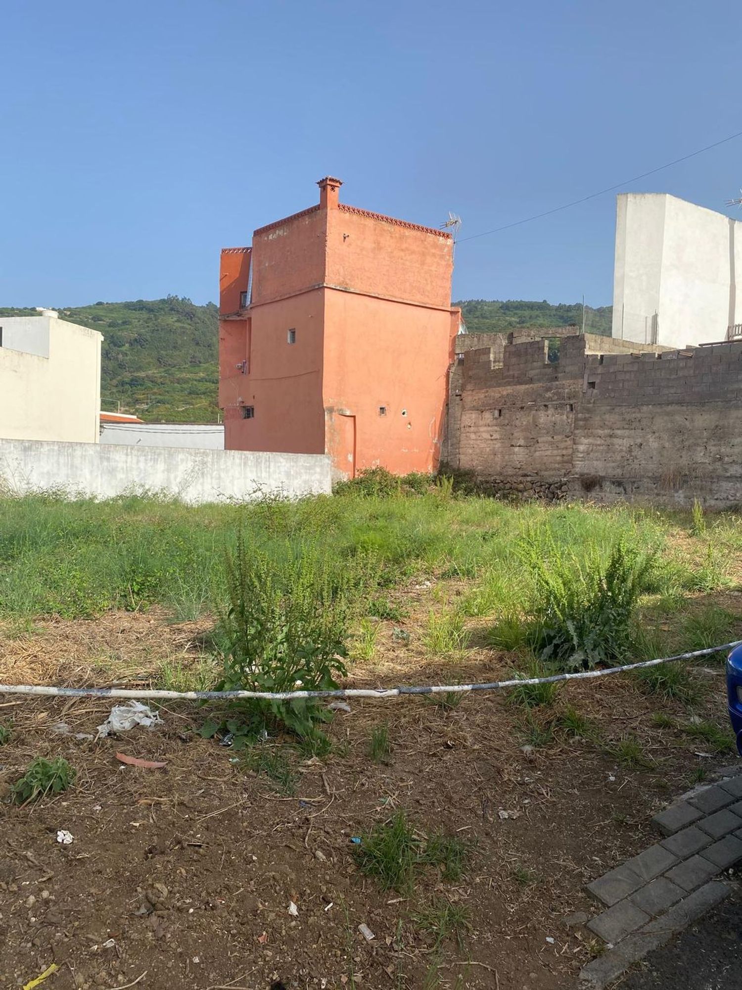 Terrenos en Guancha, La — imagen 3