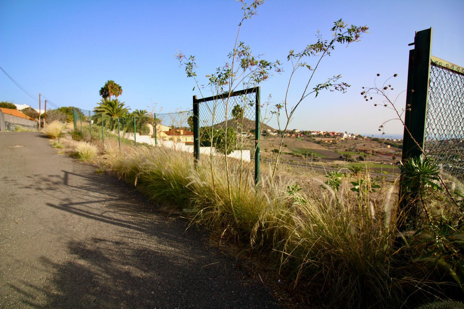 Terrenos en Palmas de Gran Canaria, Las, Tafira — imagen 9