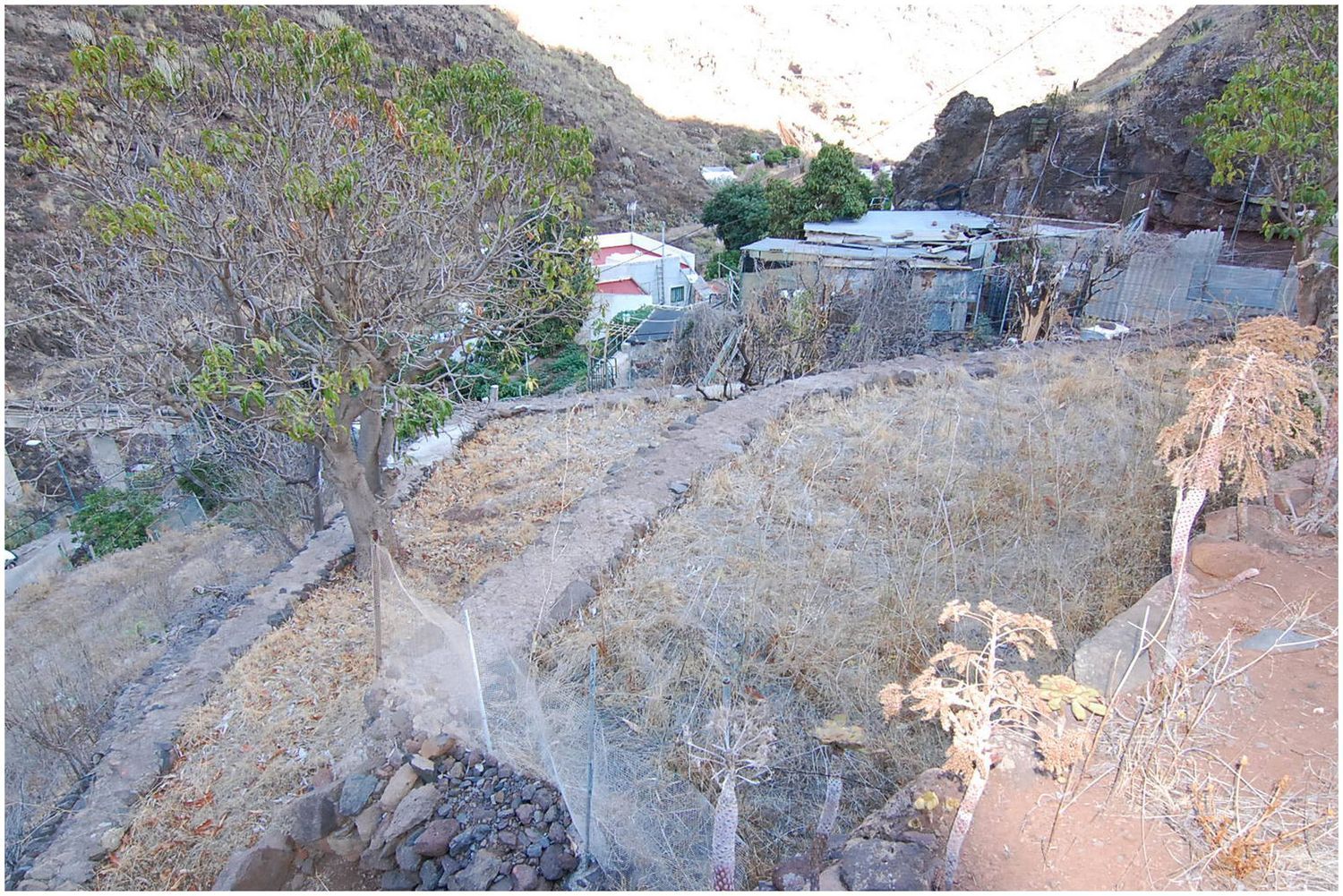 Terrenos en Santa Cruz de Tenerife — imagen 10