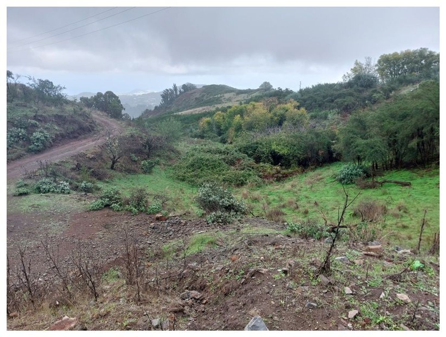 Terrenos en Moya — imagen 8