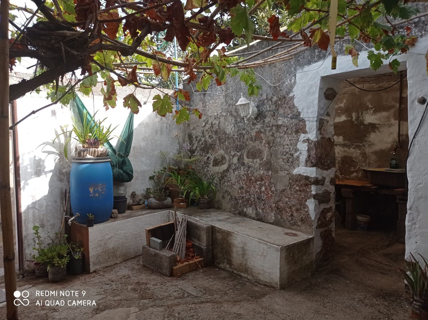 Terrenos en Moya — imagen 8
