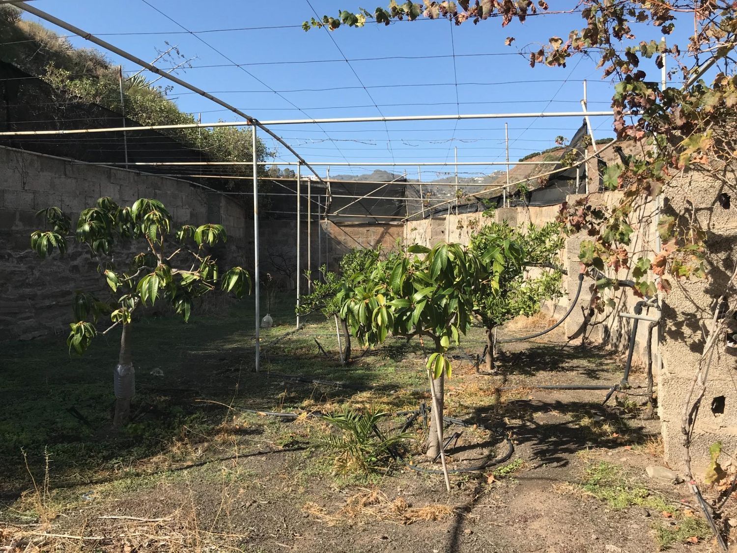 Casas rústicas en Telde — imagen 56
