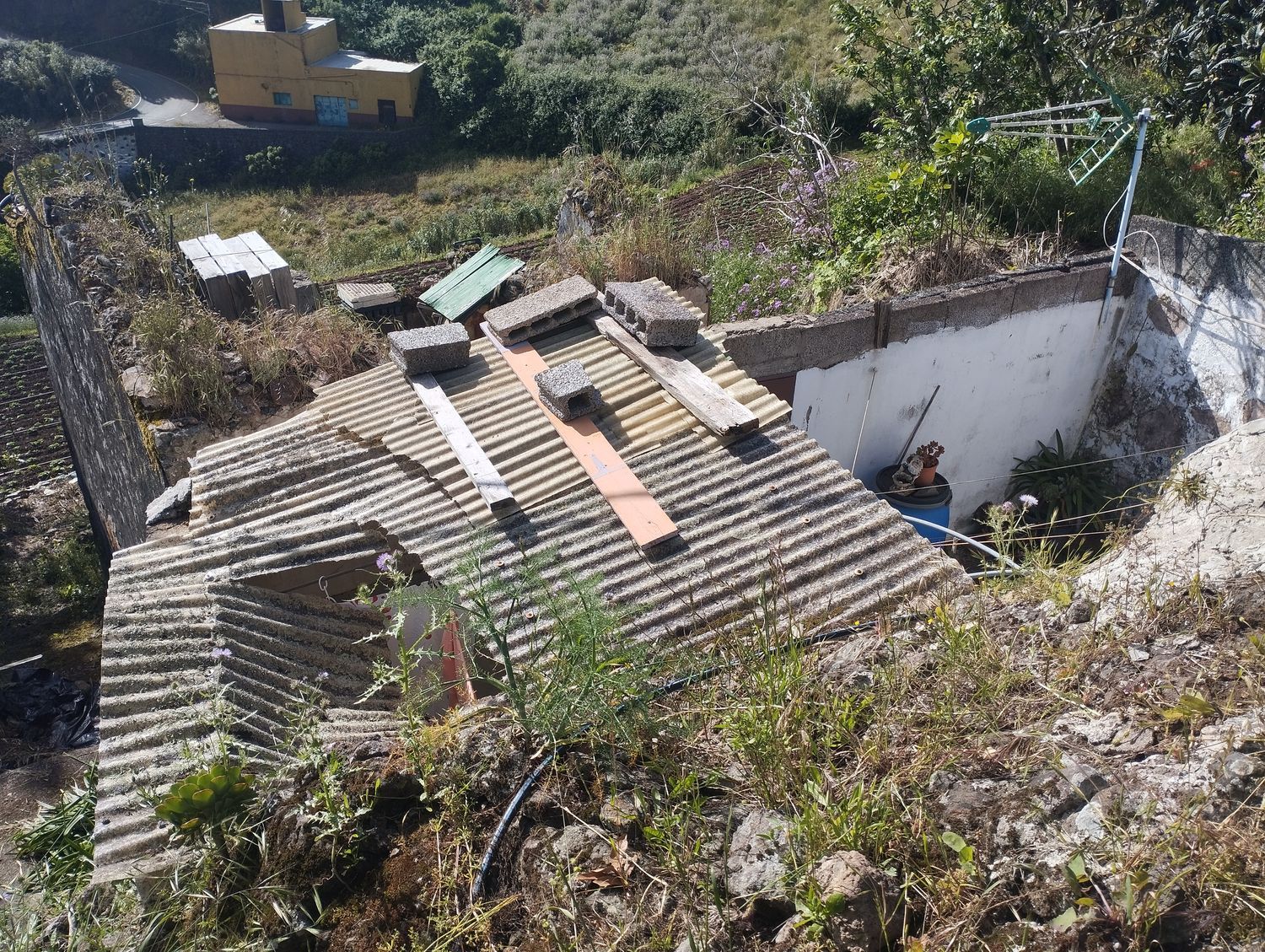 Terrenos en Moya — imagen 50