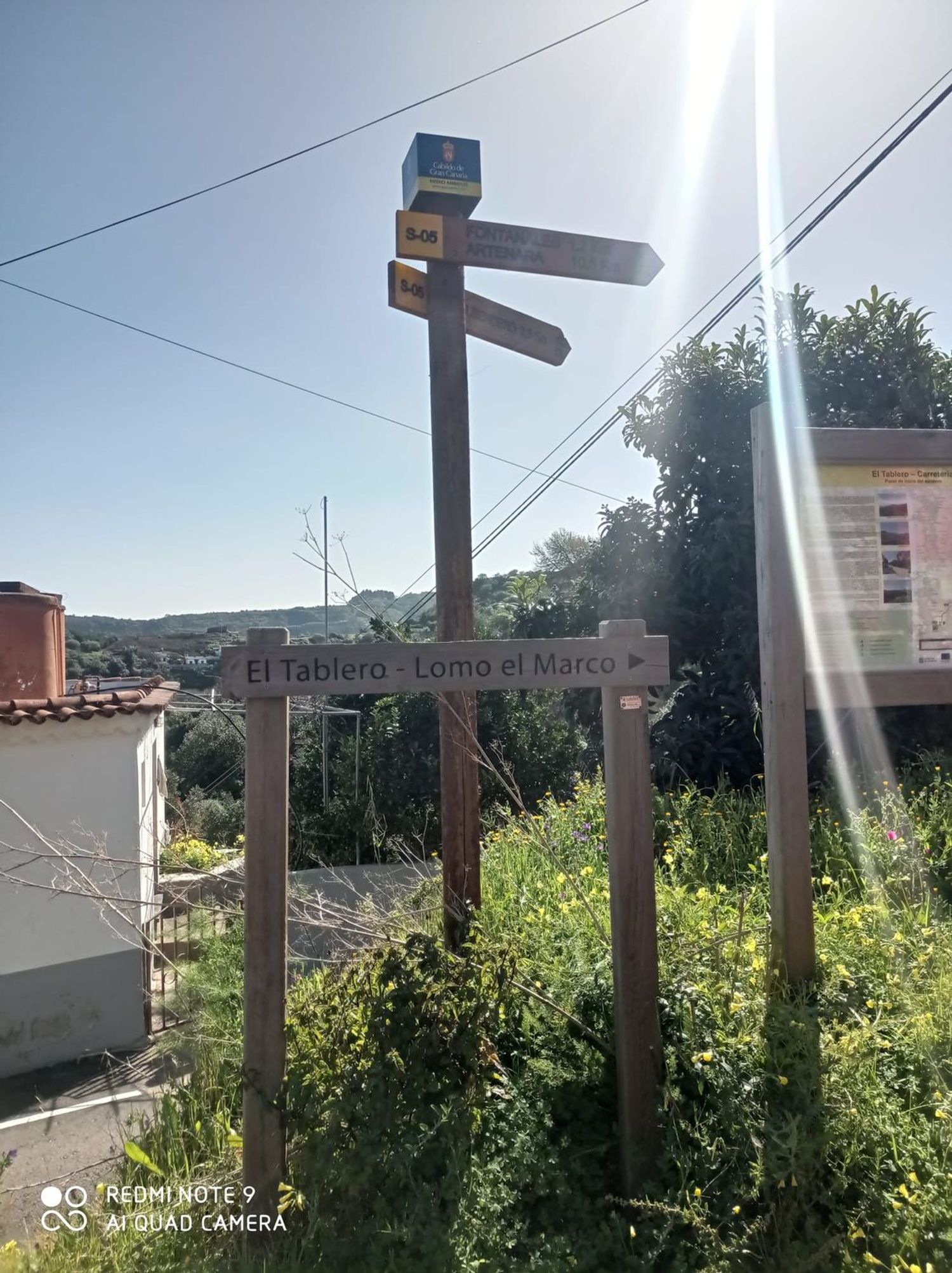 Terrenos en Moya — imagen 78
