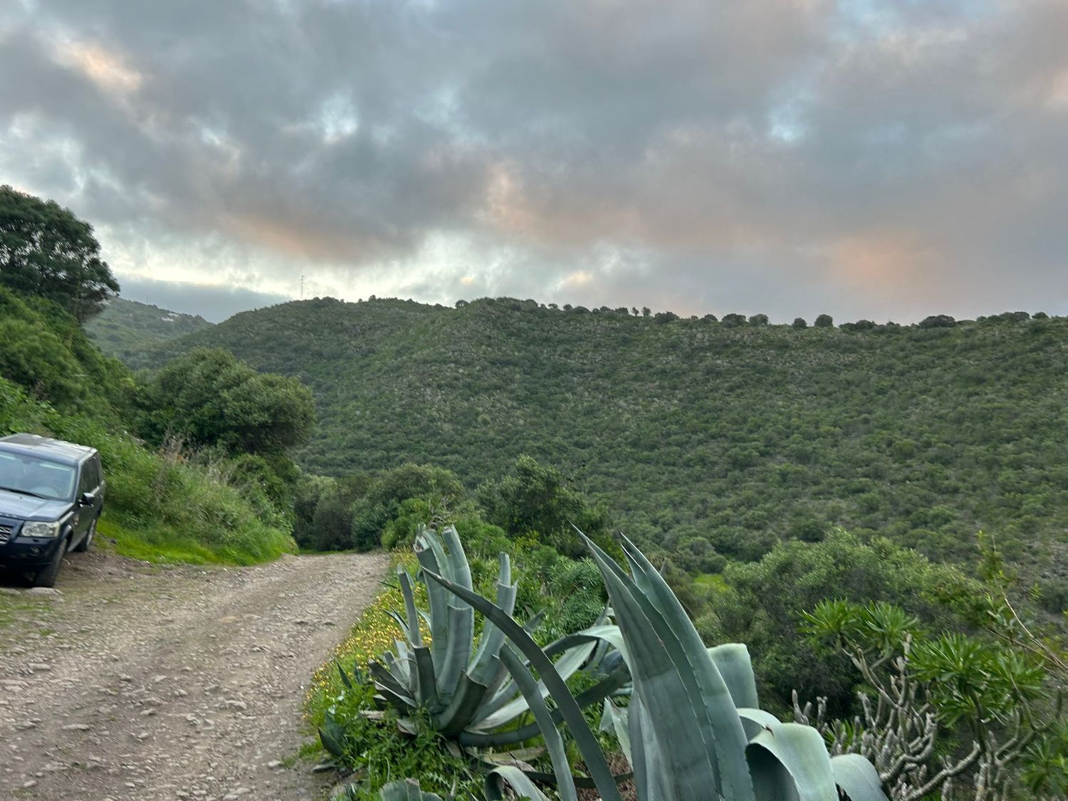Terrenos en Palmas de Gran Canaria, Las, San Lorenzo — imagen 6