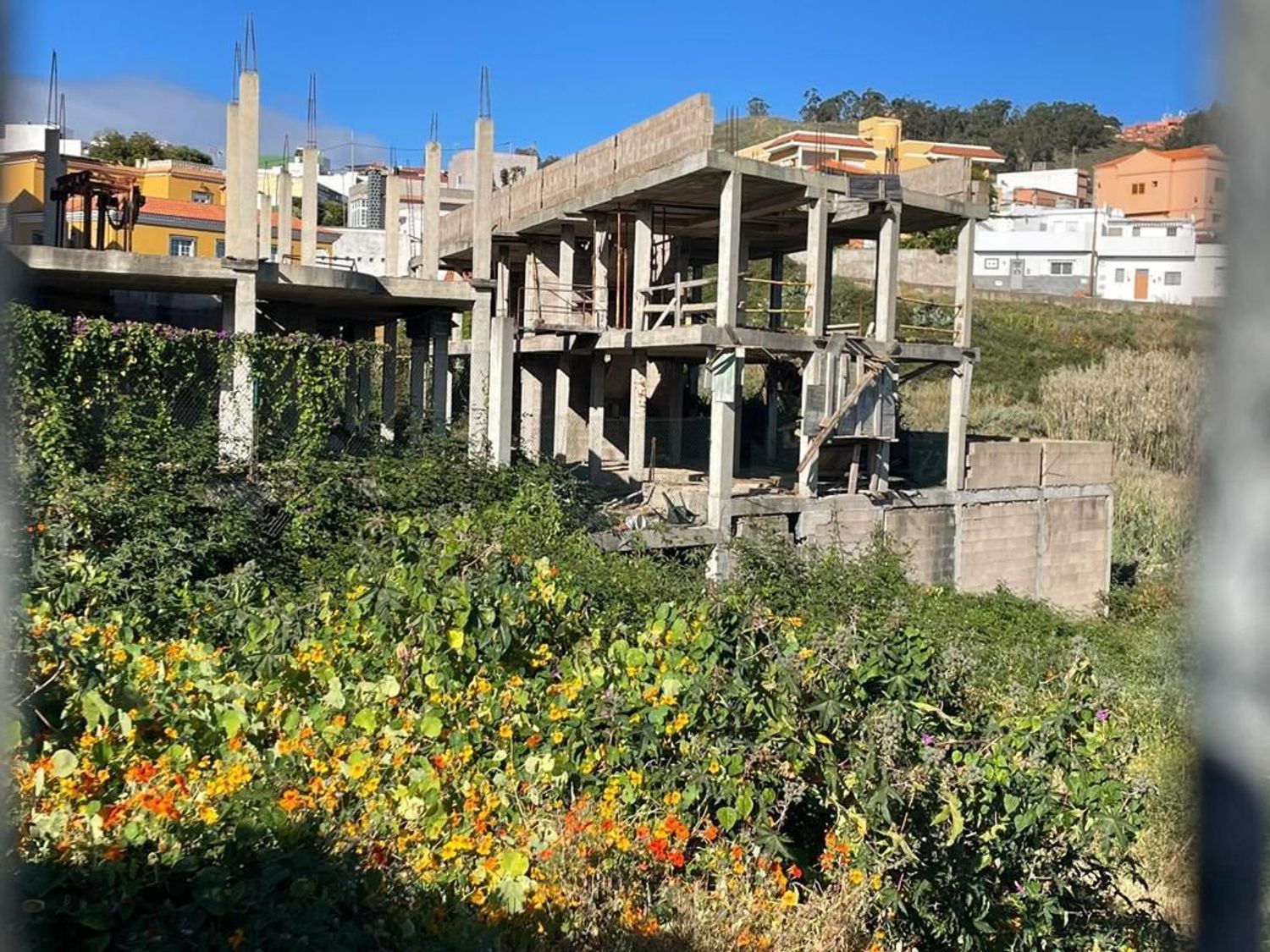 Terrenos en Firgas — imagen 1