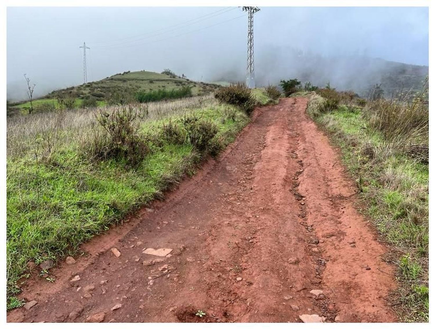 Terrenos en Moya — imagen 14