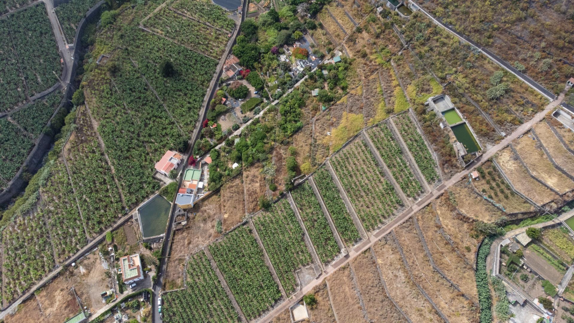 Casas rústicas en Silos, Los, Zona Centro — imagen 4