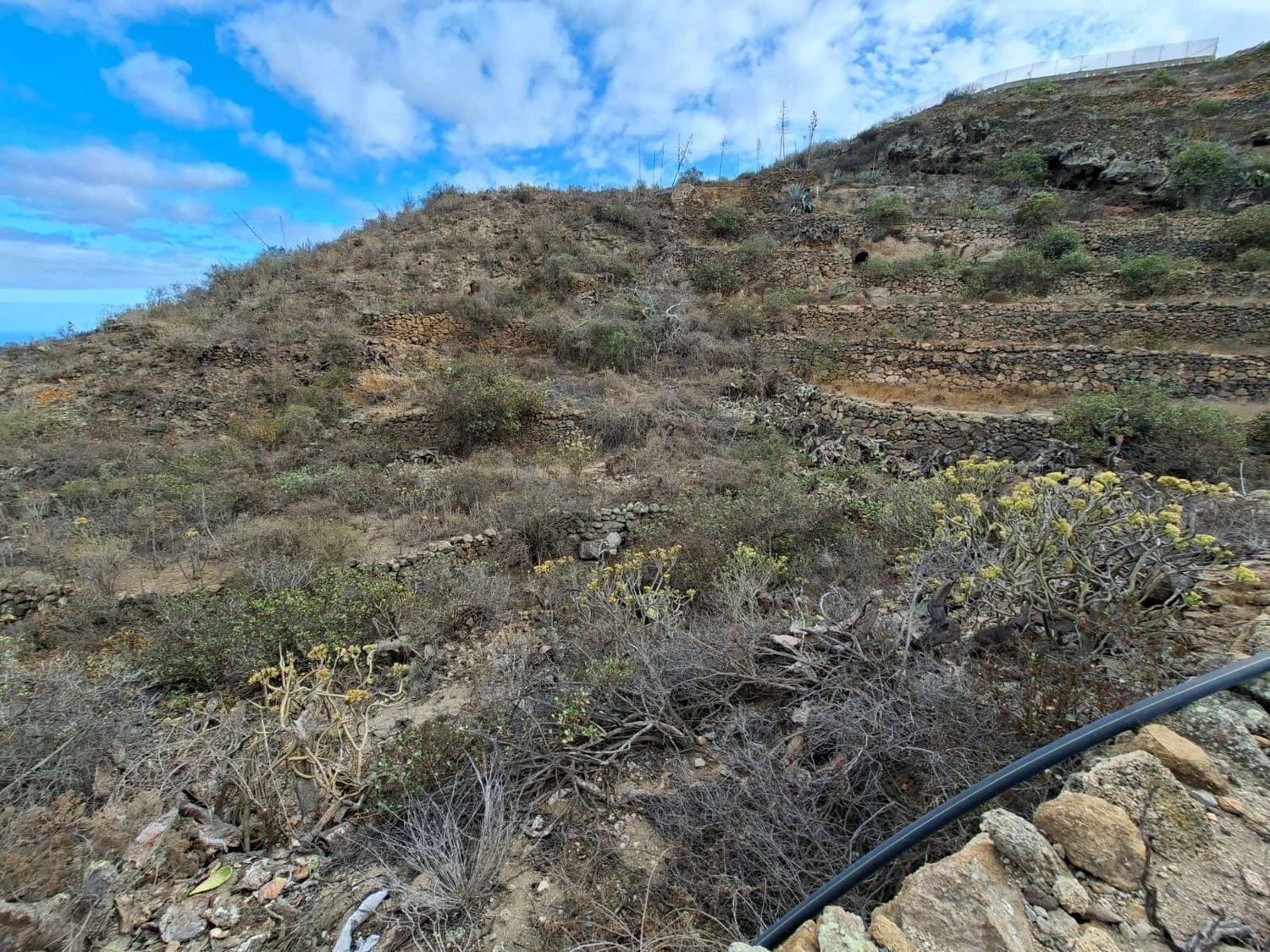 Terrenos en Arico — imagen 8