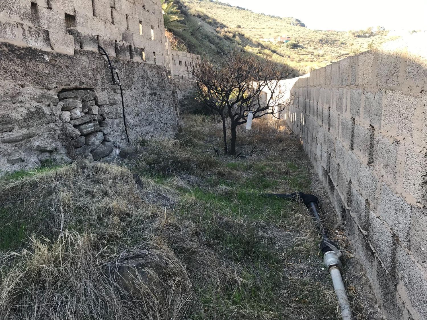 Casas rústicas en Telde — imagen 16