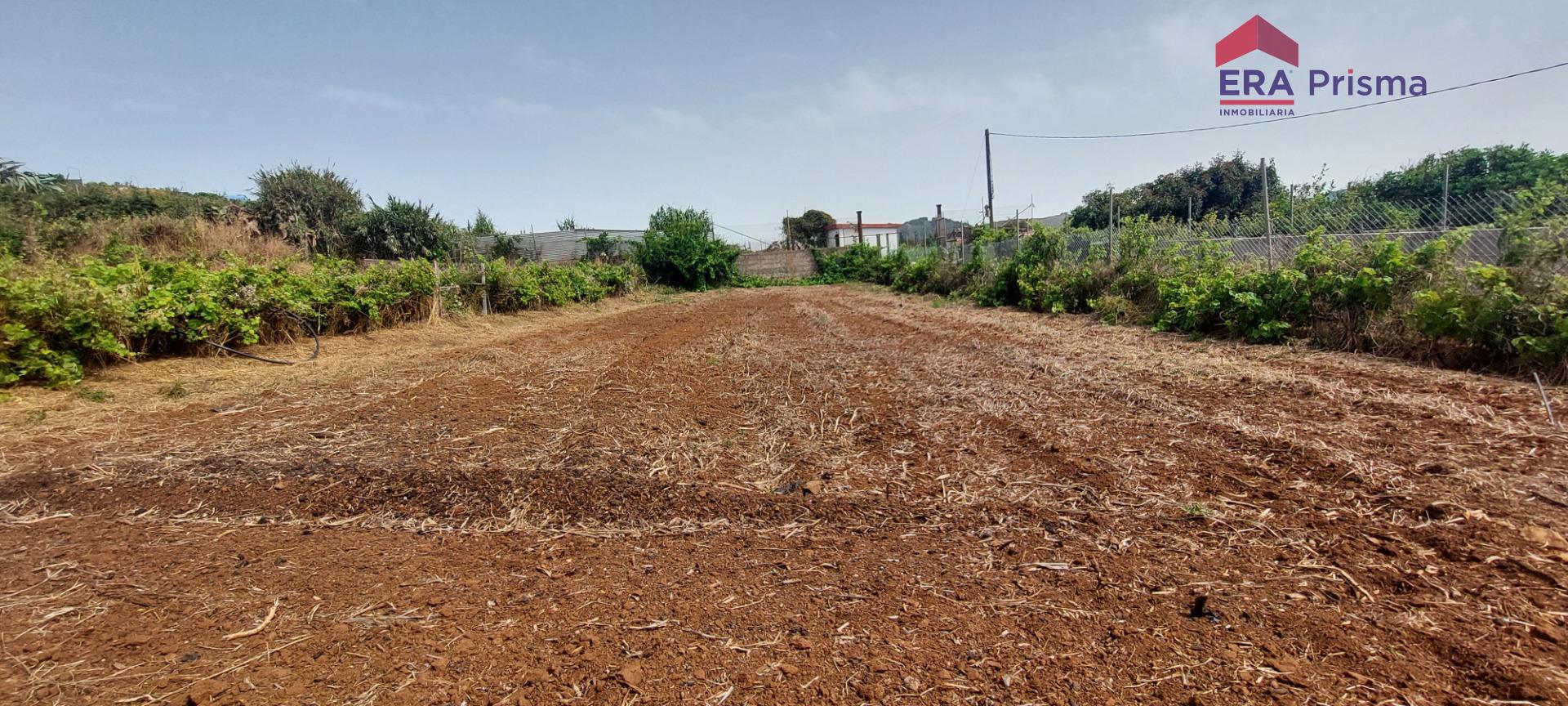 Casas rústicas en San Cristóbal de La Laguna, Los Baldíos — imagen 10