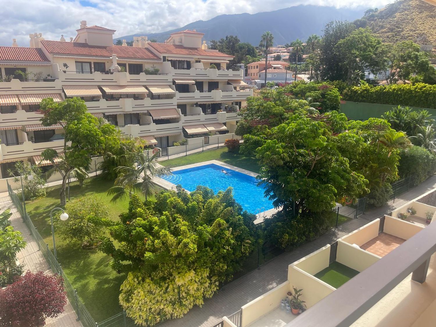 Áticos en Puerto de la Cruz — imagen 2
