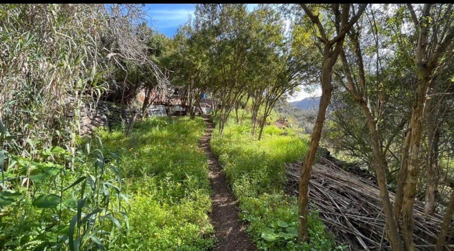 Terrenos en Palmas de Gran Canaria, Las, San Lorenzo — imagen 3