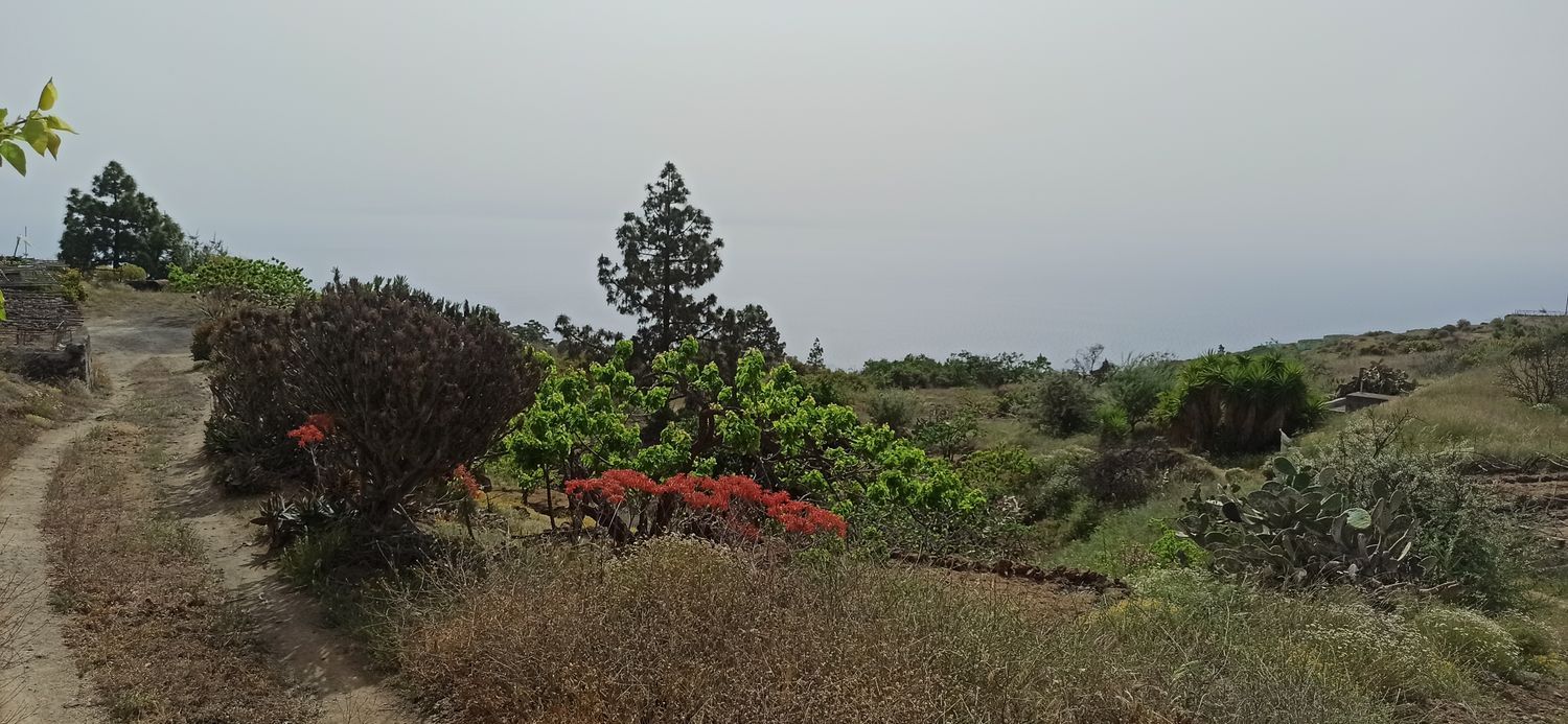 Terrenos en Fasnia — imagen 4