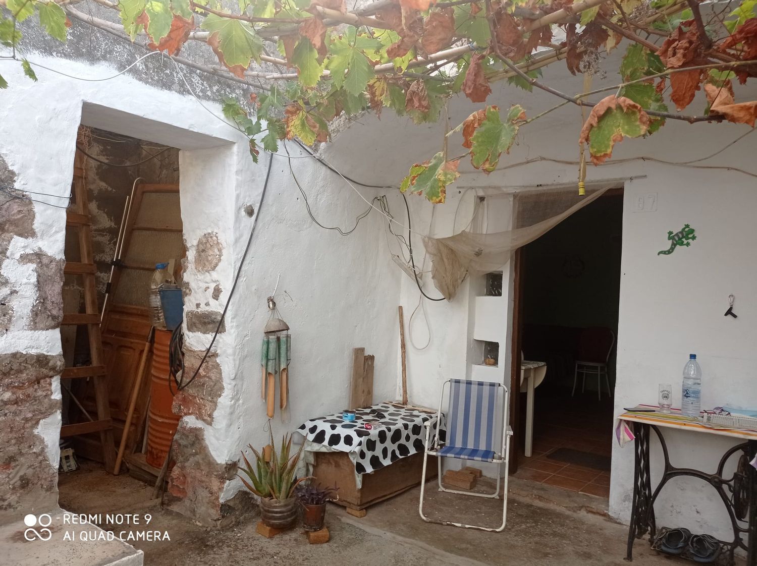 Terrenos en Moya — imagen 24