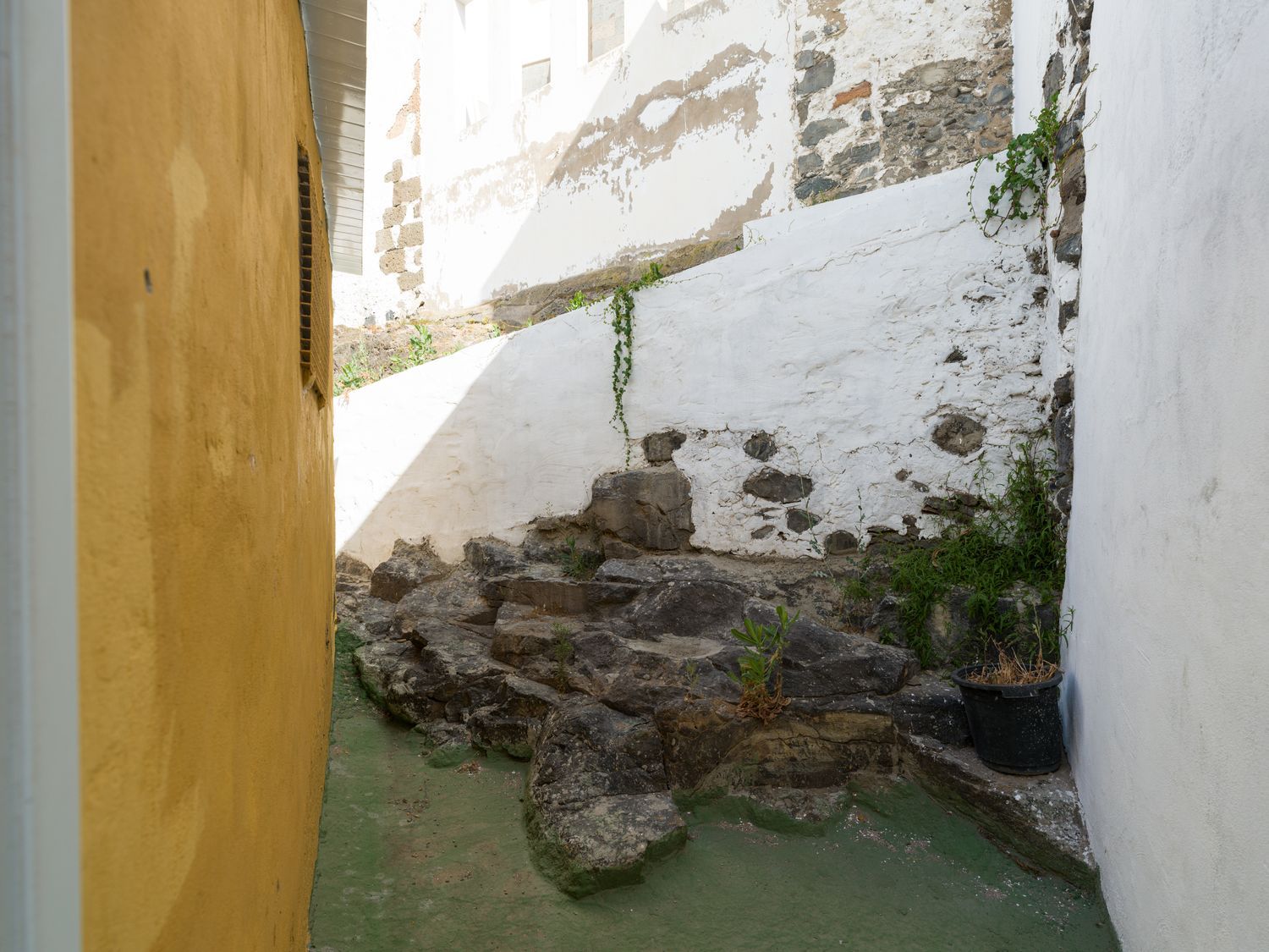 Edificios en Telde — imagen 50