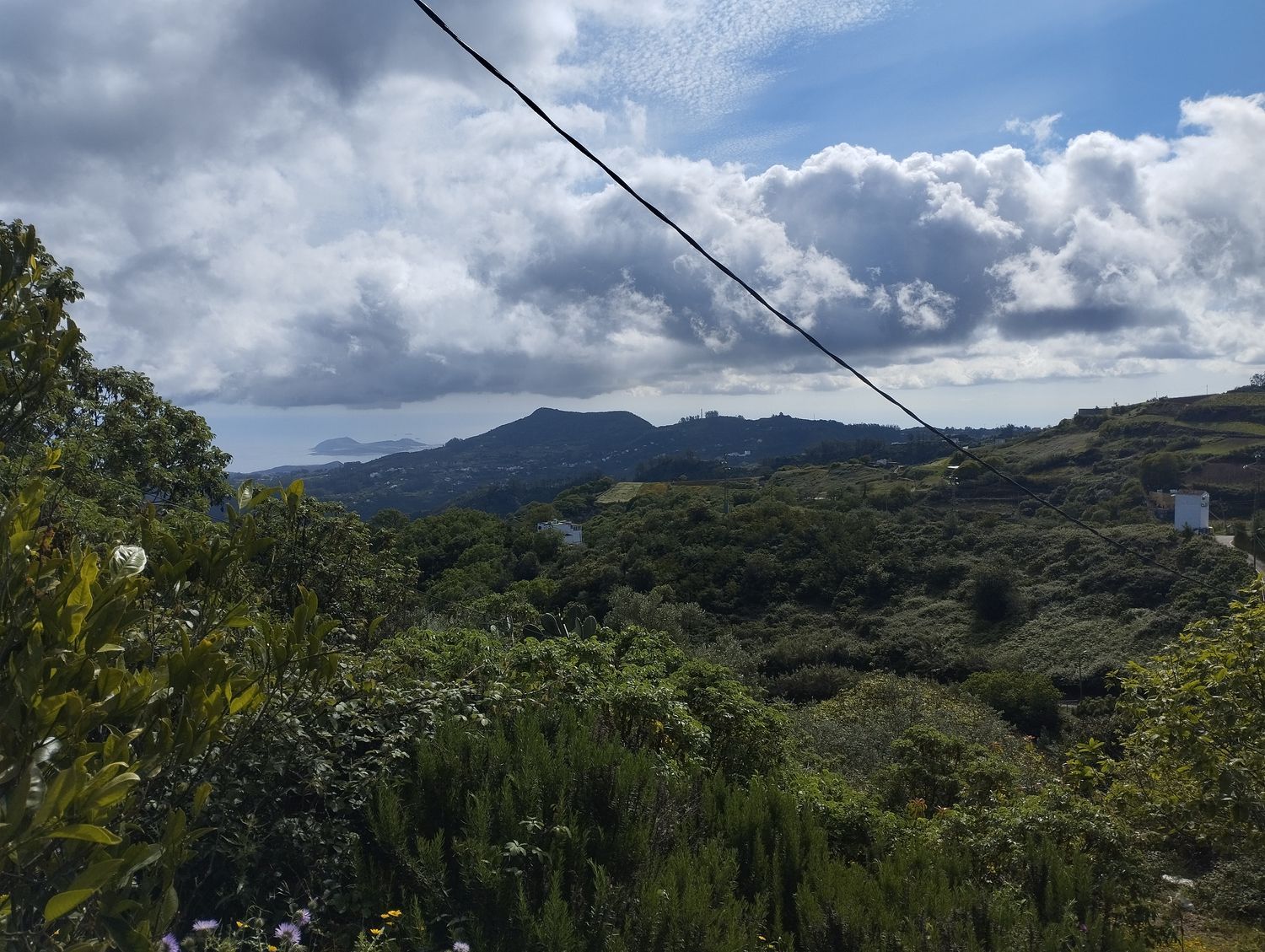 Terrenos en Moya — imagen 33