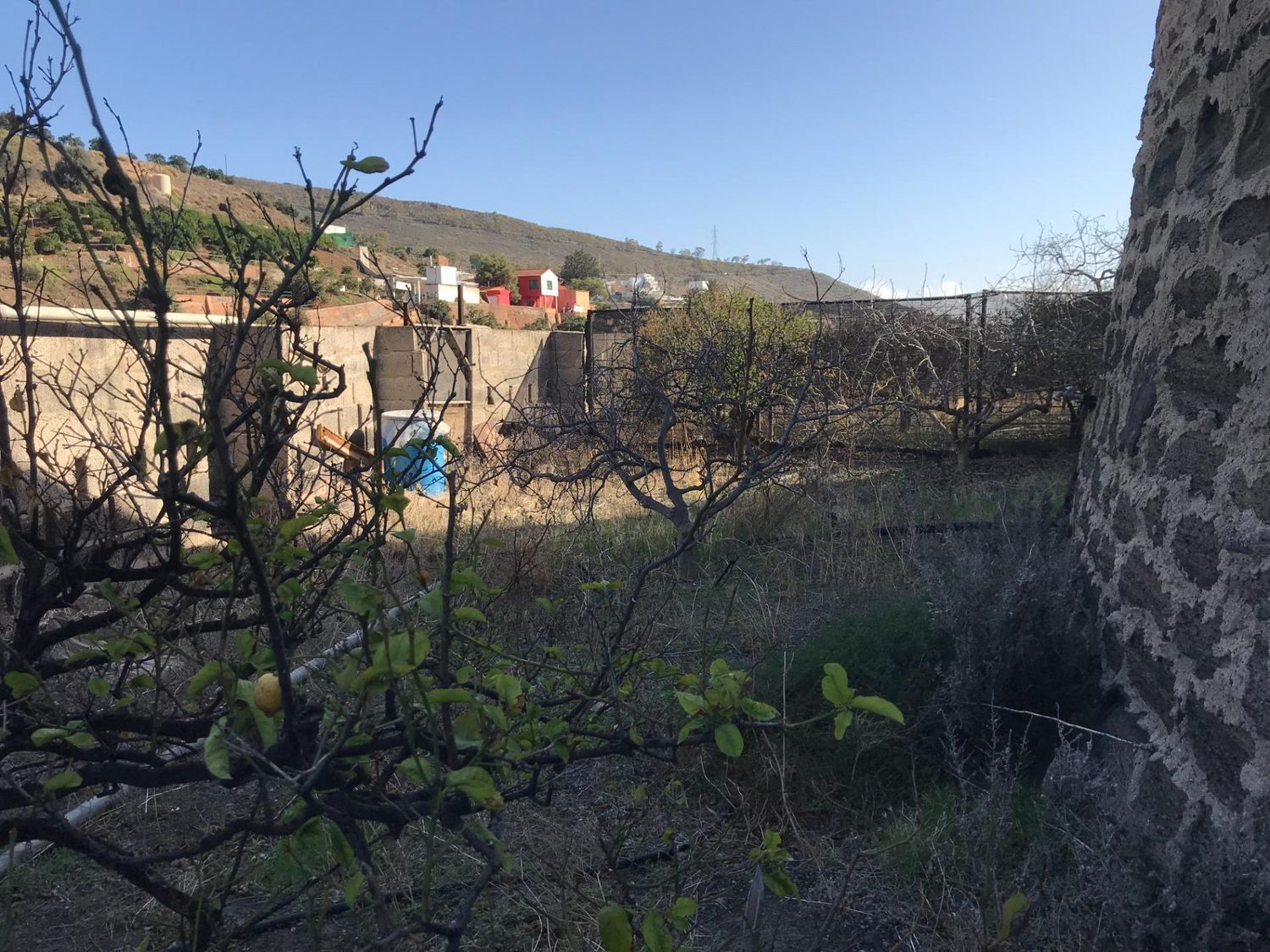 Casas rústicas en Telde — imagen 18