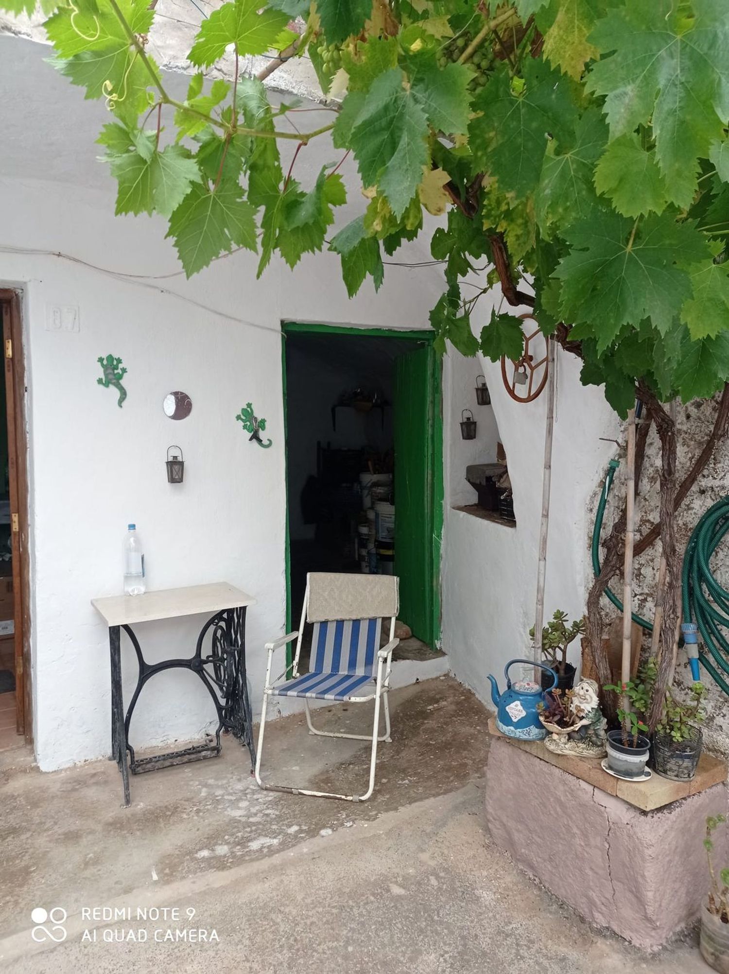 Terrenos en Moya — imagen 65
