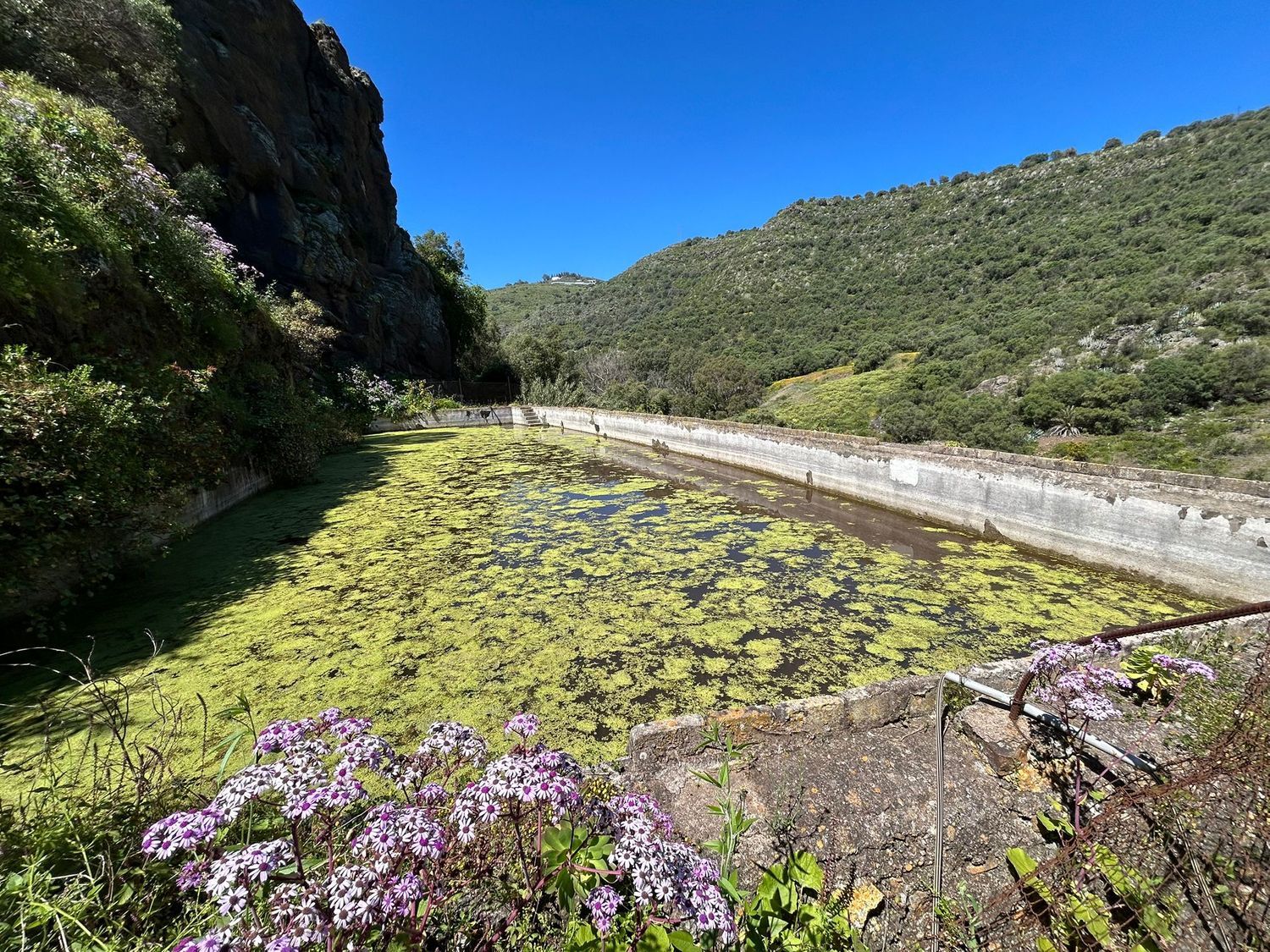 Terrenos en Palmas de Gran Canaria, Las, San Lorenzo — imagen 5