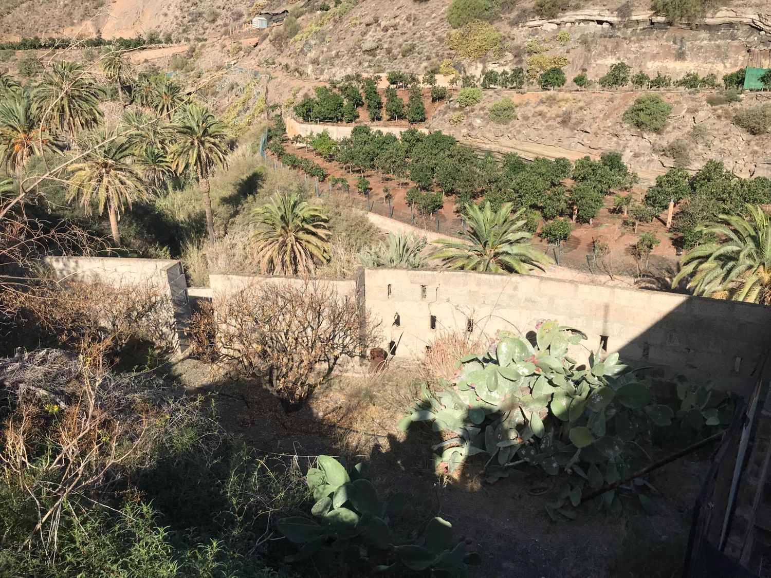 Casas rústicas en Telde — imagen 14