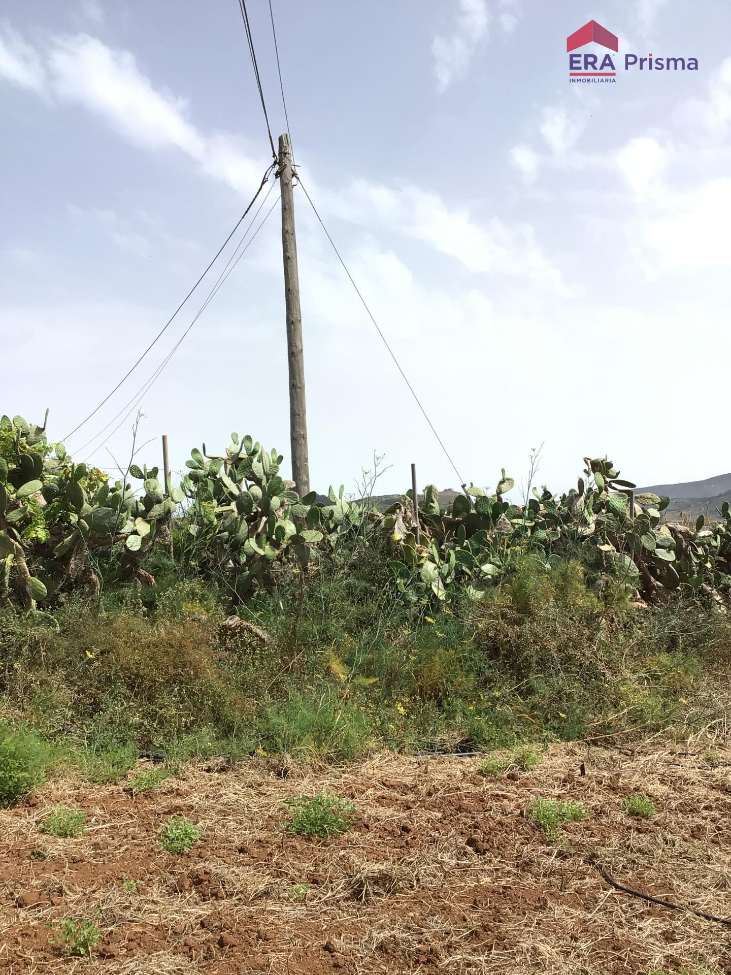 Casas rústicas en San Cristóbal de La Laguna, Los Baldíos — imagen 23