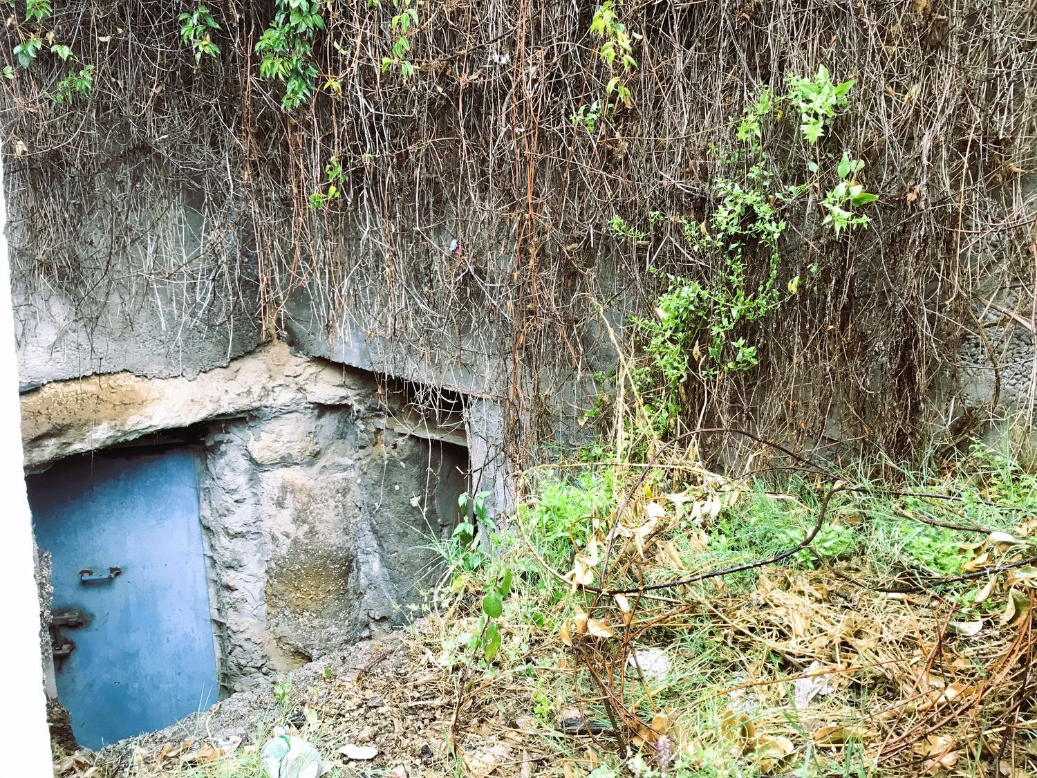 Terrenos en Güímar — imagen 3