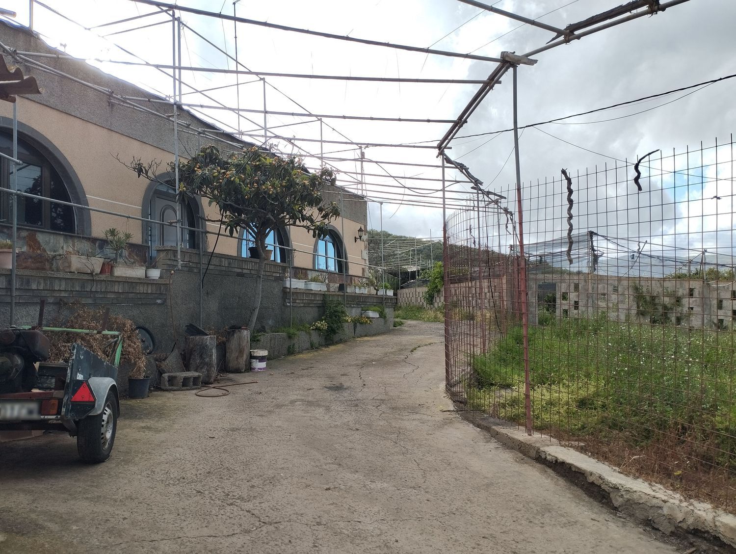 Terrenos en Telde — imagen 14