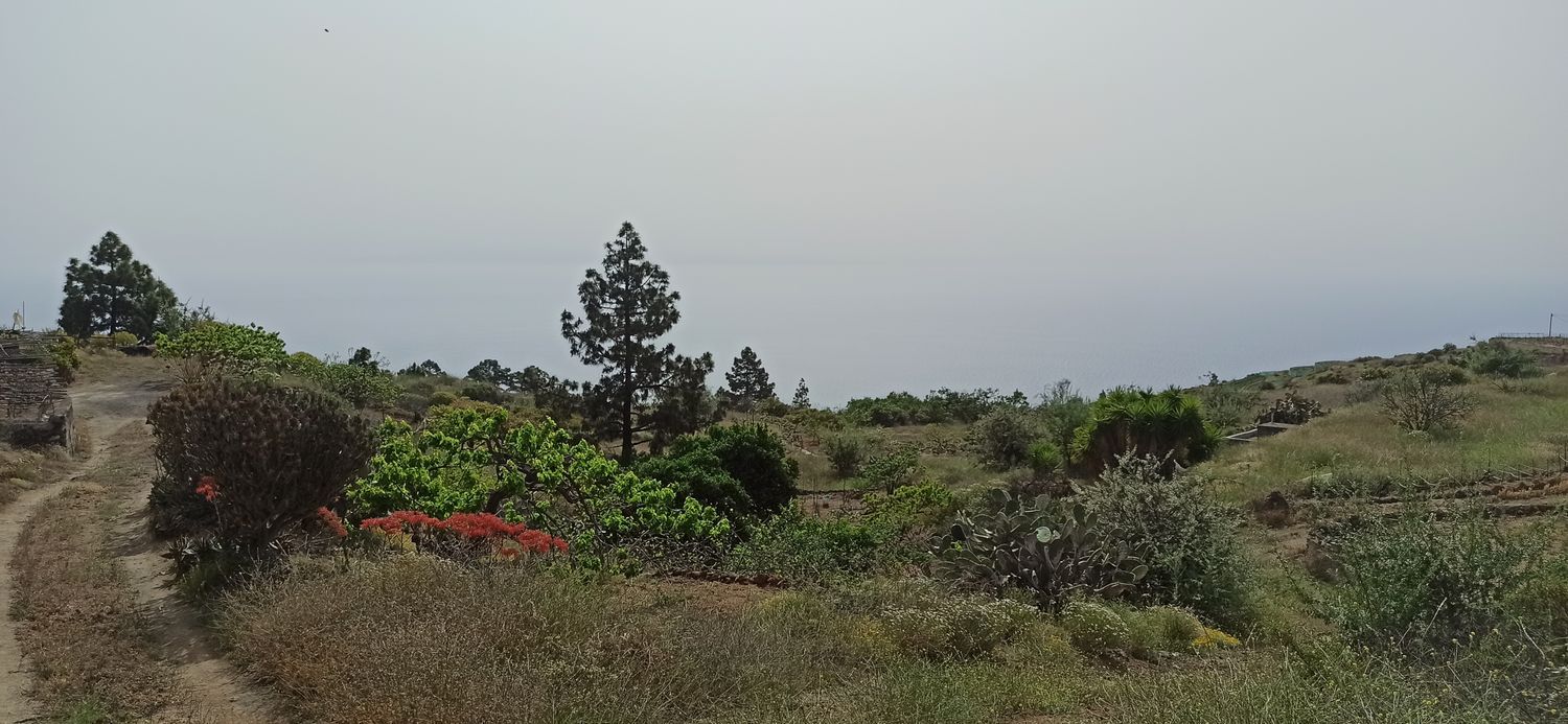 Terrenos en Fasnia — imagen 3