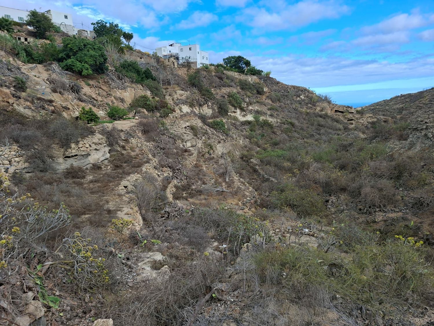 Terrenos en Arico — imagen 10