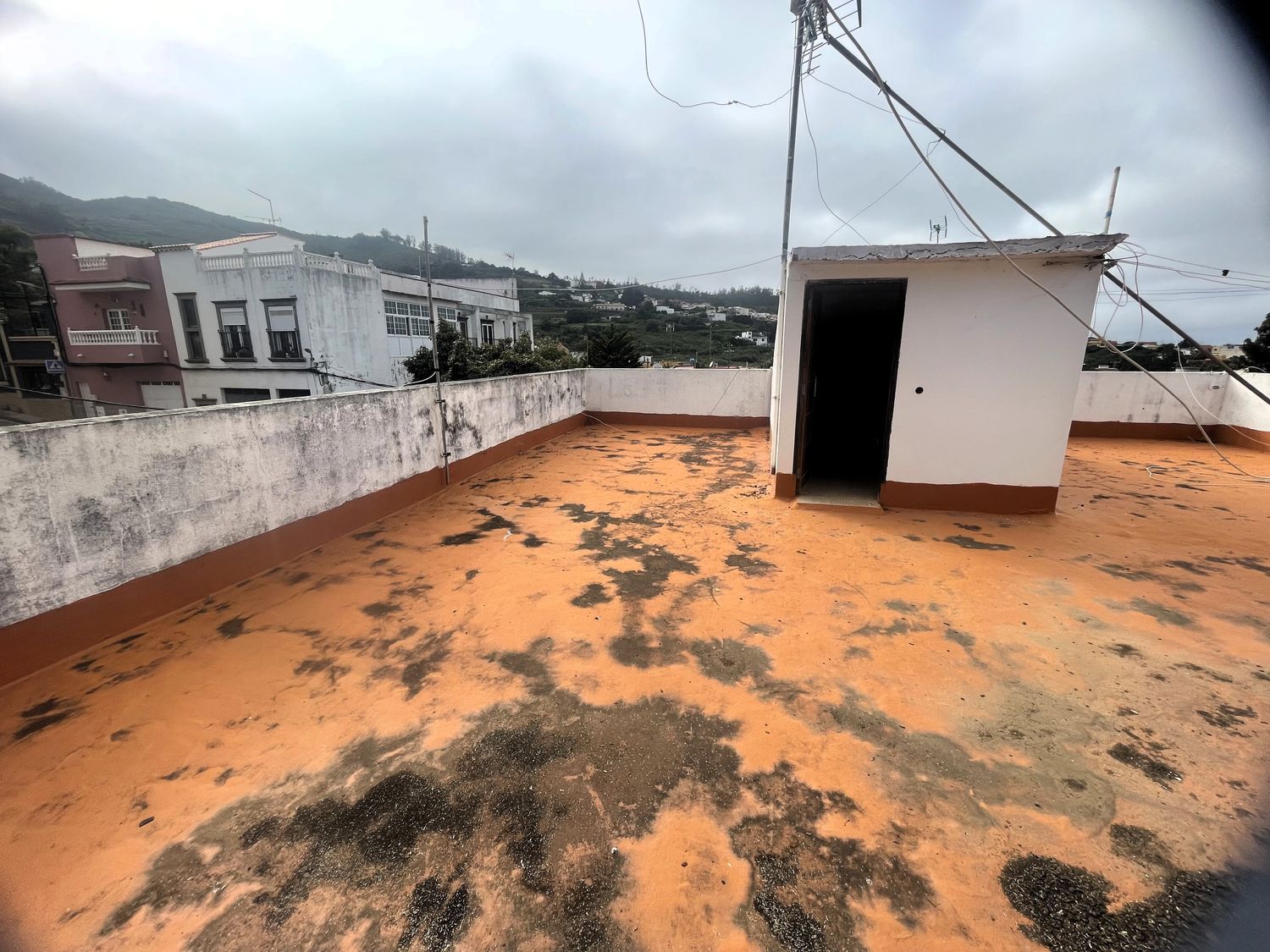 Pareados en Teror — imagen 38