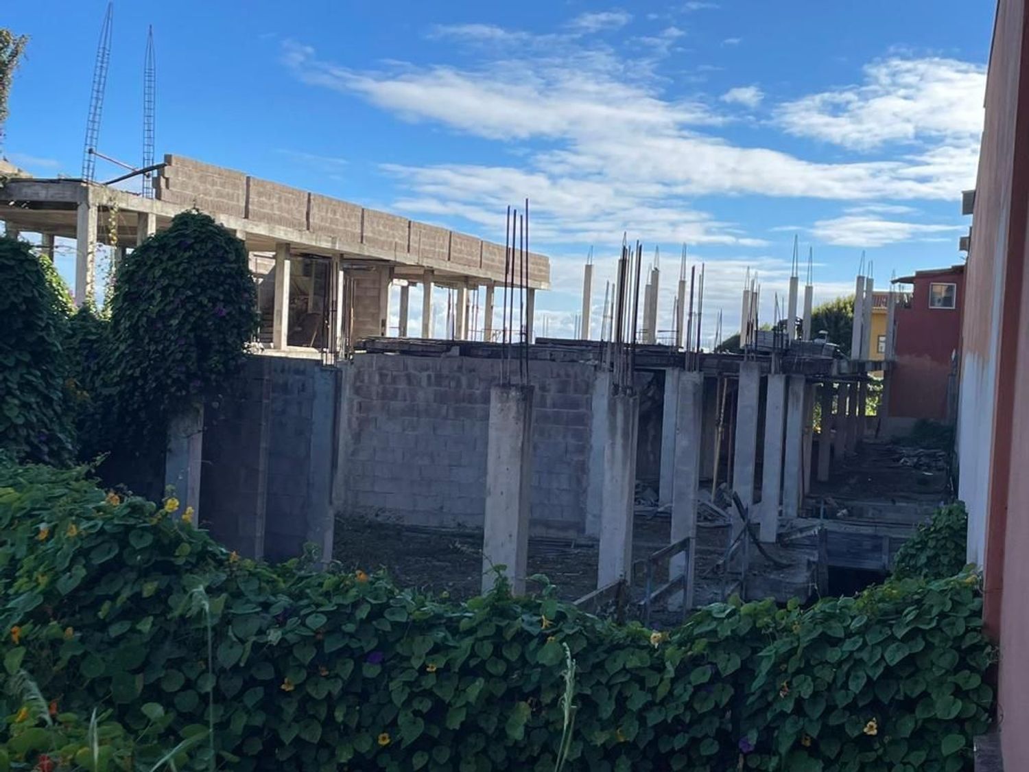 Terrenos en Firgas — imagen 7