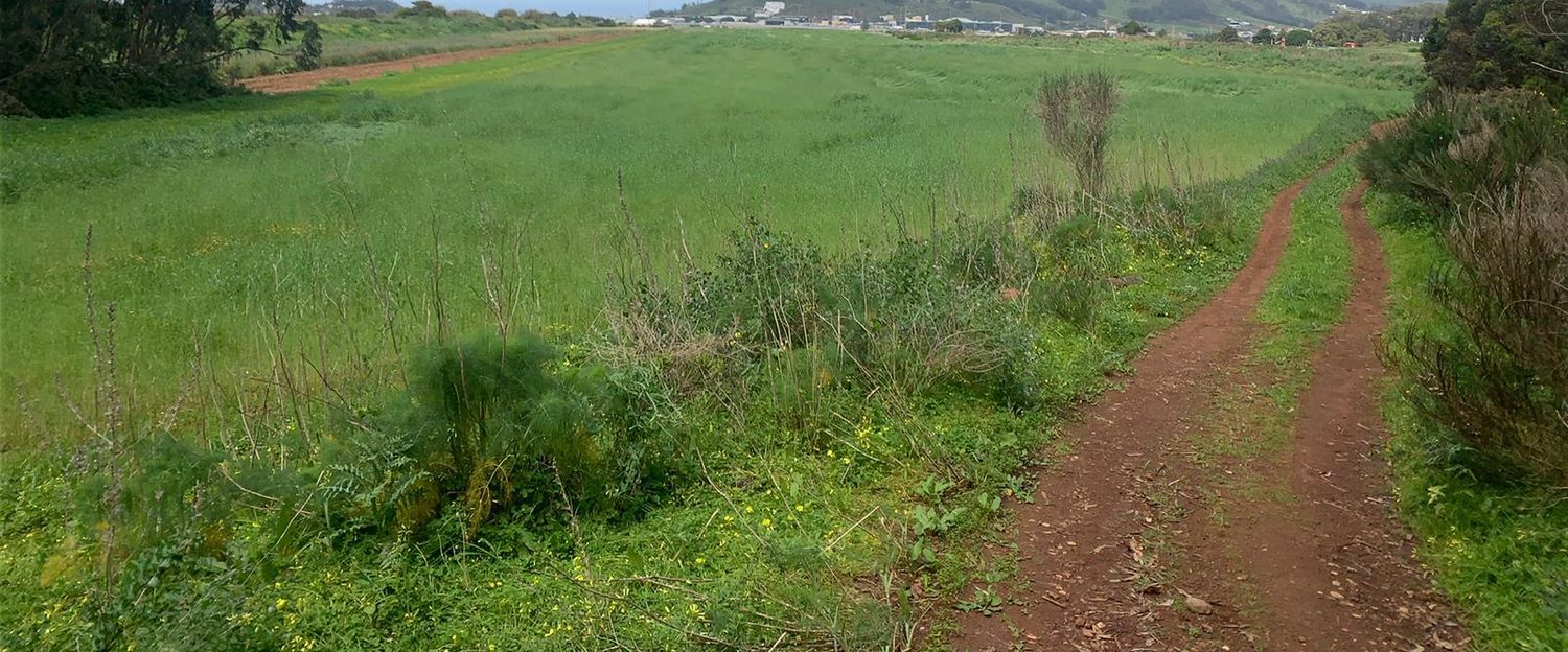 Terrenos en San Cristóbal de La Laguna, LA LAGUNA — imagen 9