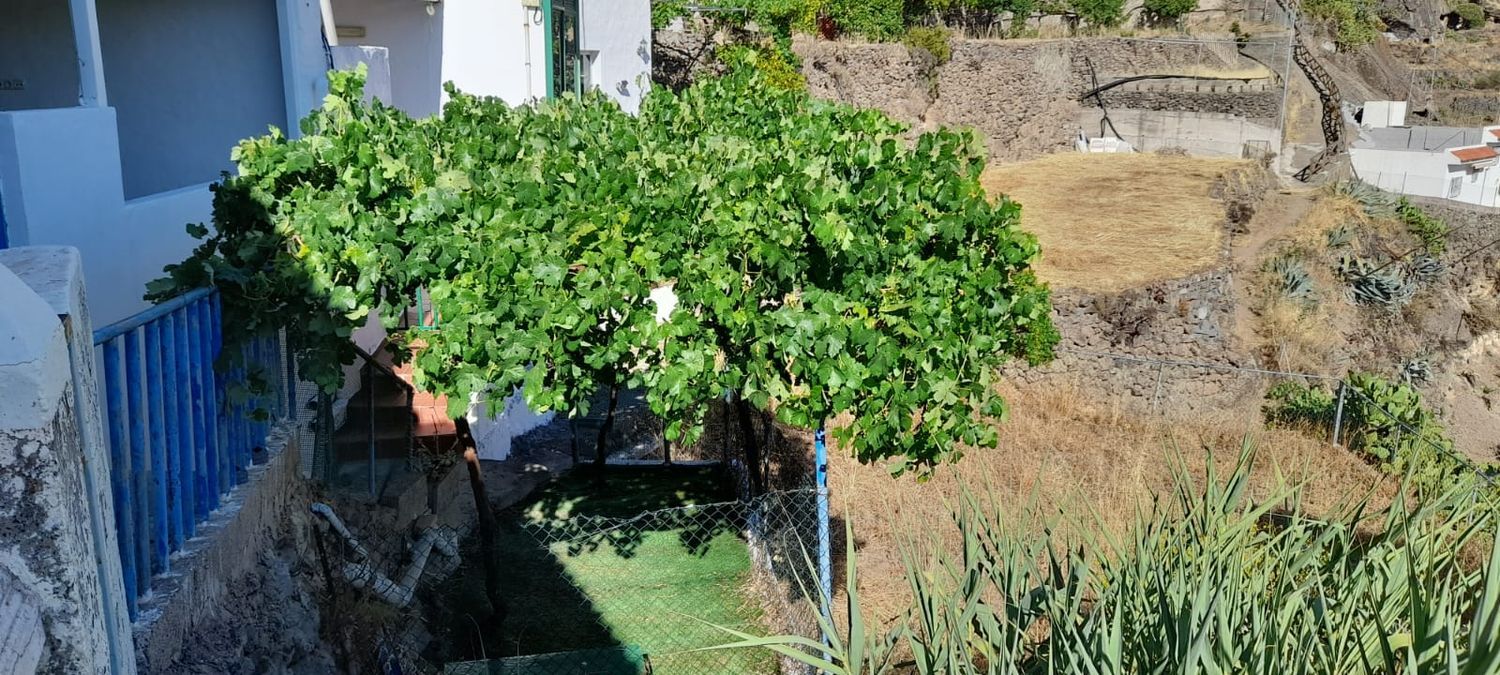 Casas rústicas en Gáldar — imagen 35