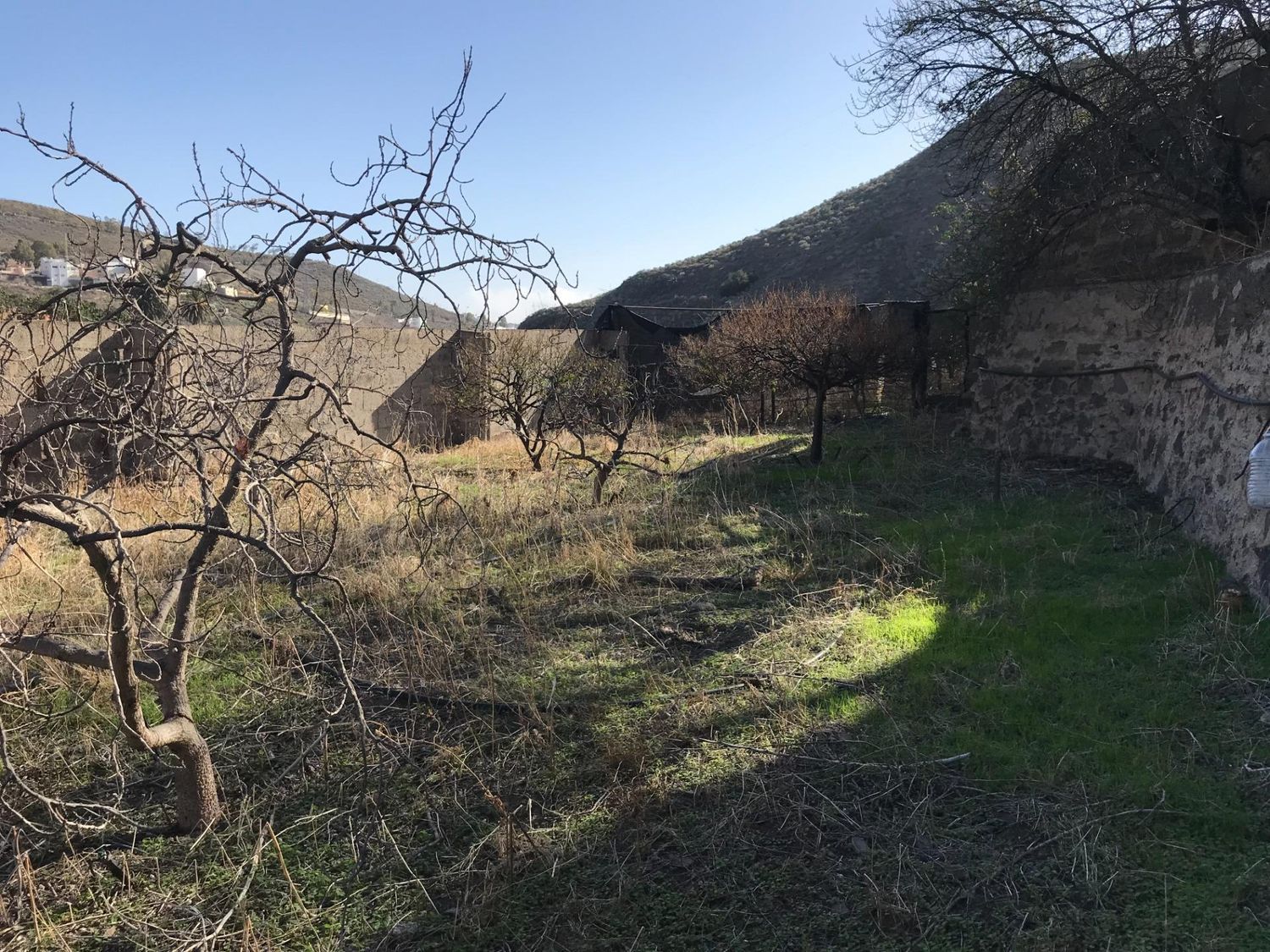 Casas rústicas en Telde — imagen 22