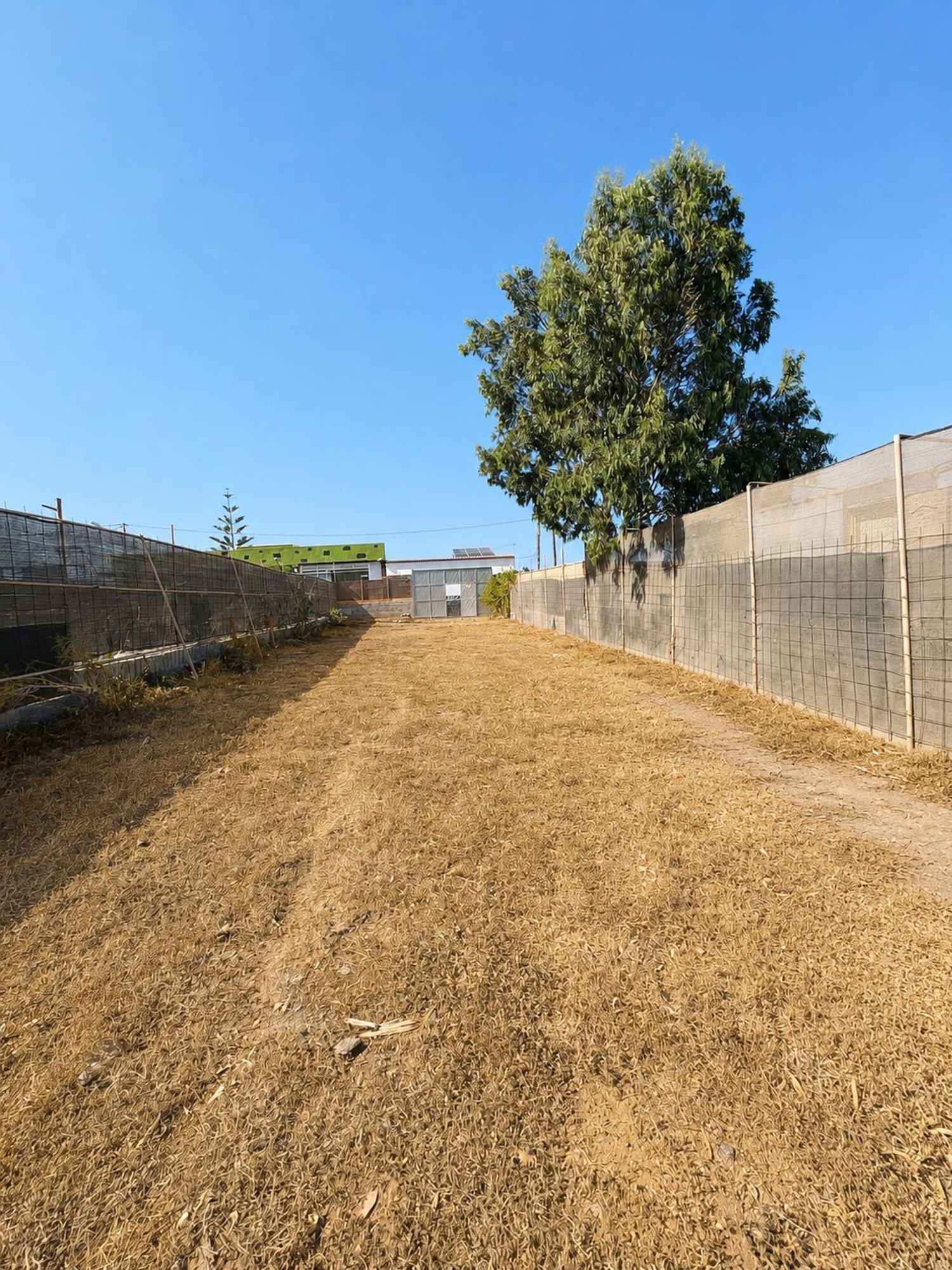 Terrenos en Telde — imagen 4
