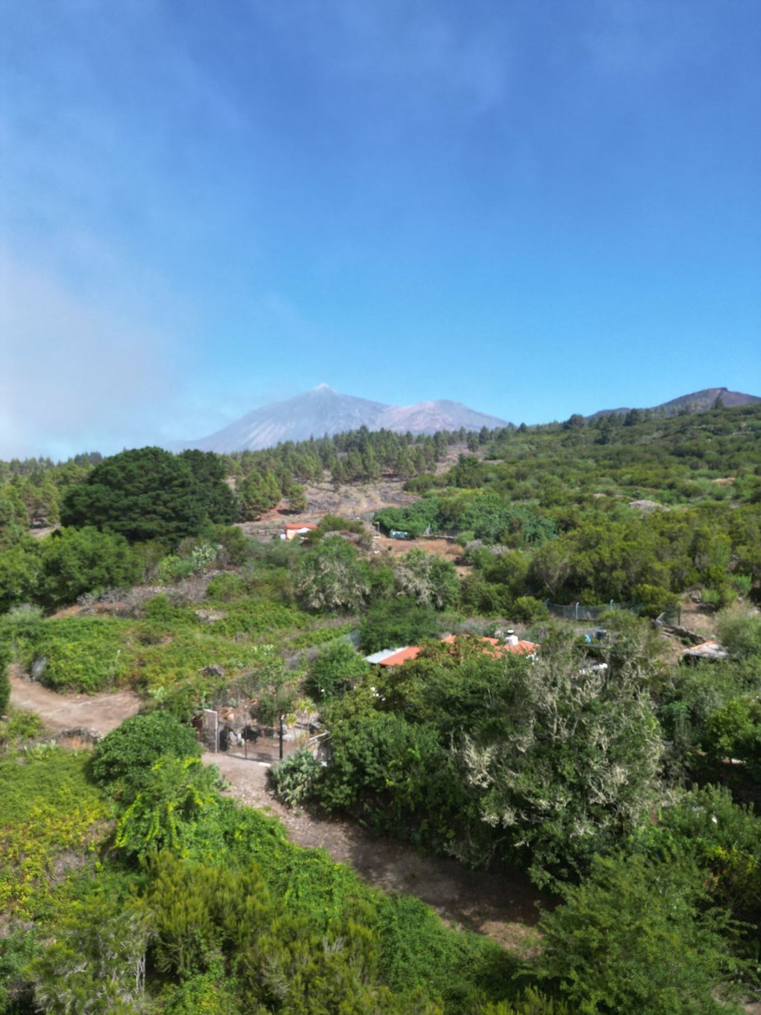 Terrenos en Tanque, El — imagen 4