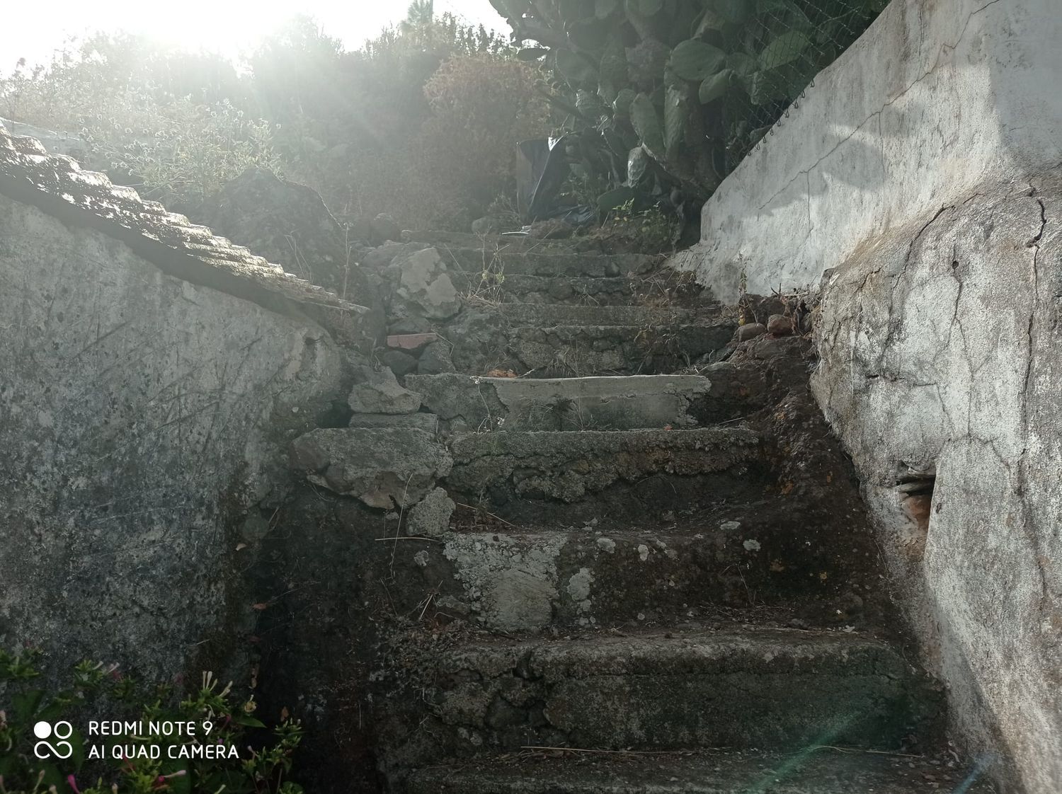 Terrenos en Moya — imagen 32