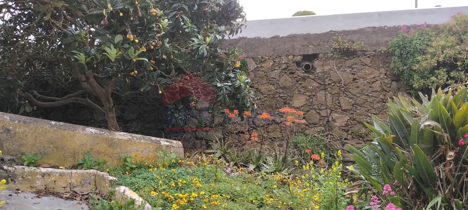 Independientes en Valverde — imagen 13