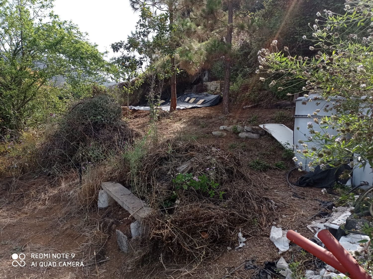 Terrenos en Moya — imagen 70