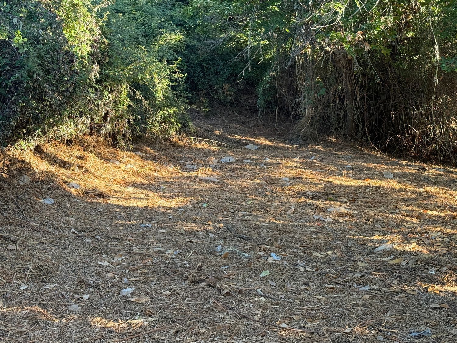 Terrenos en Matanza de Acentejo, La — imagen 4
