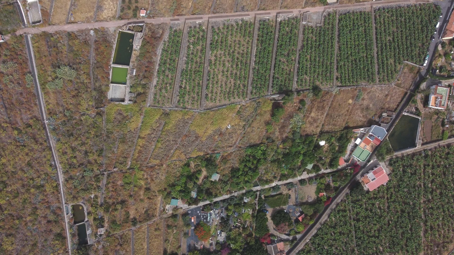 Casas rústicas en Silos, Los, Zona Centro — imagen 12
