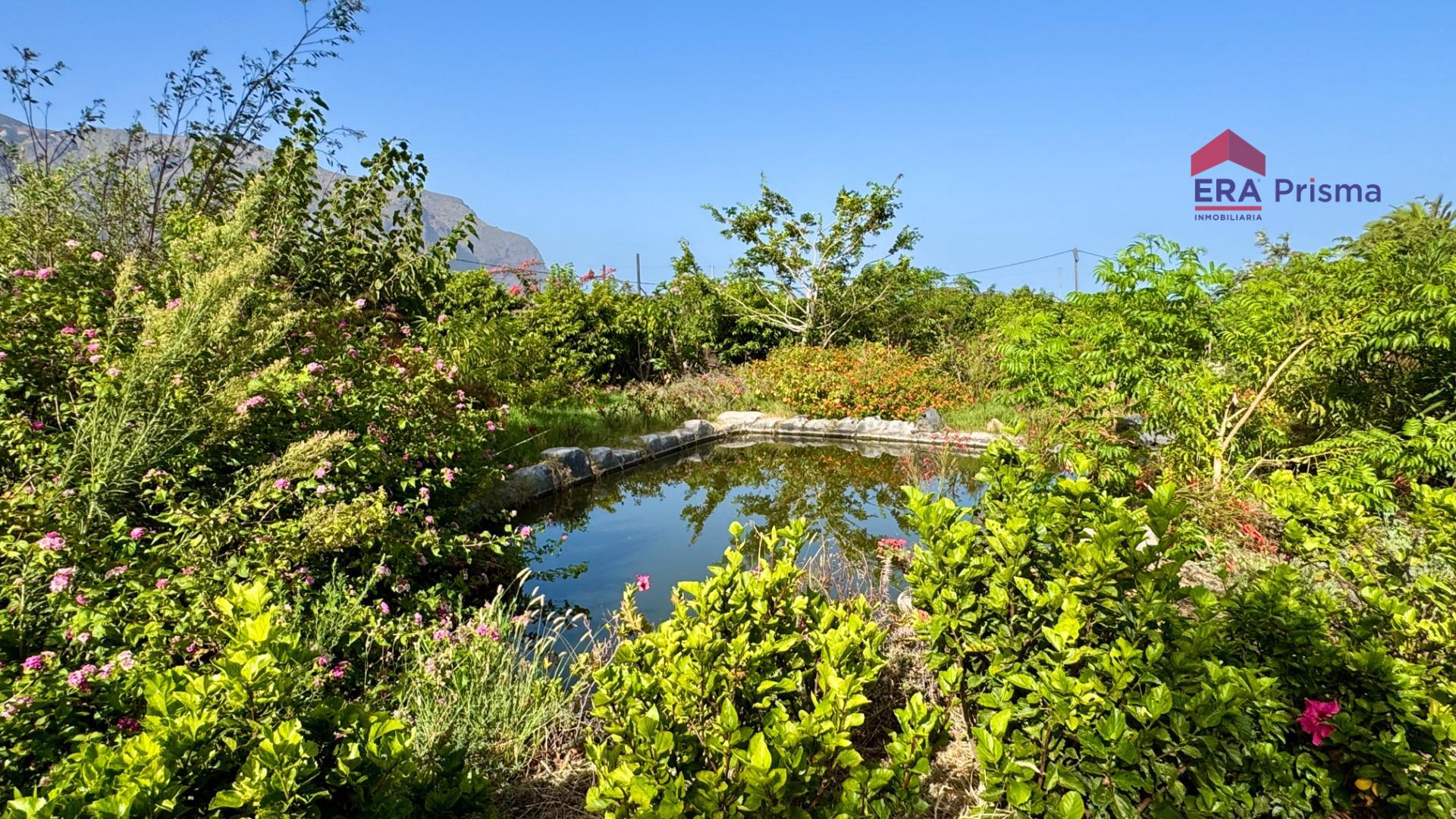 Casas rústicas en Buenavista del Norte, Buenavista del norte pueblo tenerife — imagen 11