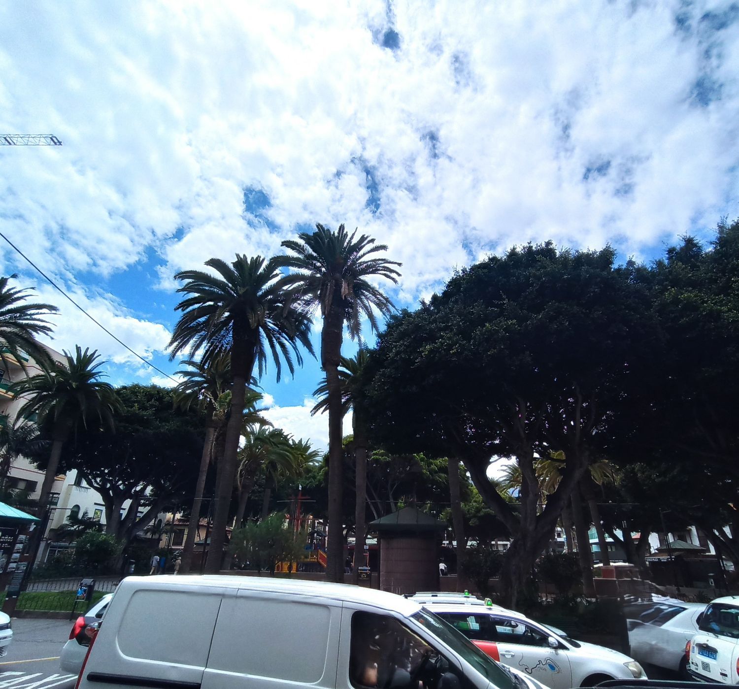 Oficinas en Puerto de la Cruz — imagen 36