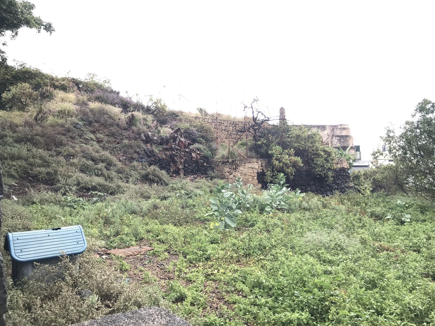 Terrenos en Güímar — imagen 11
