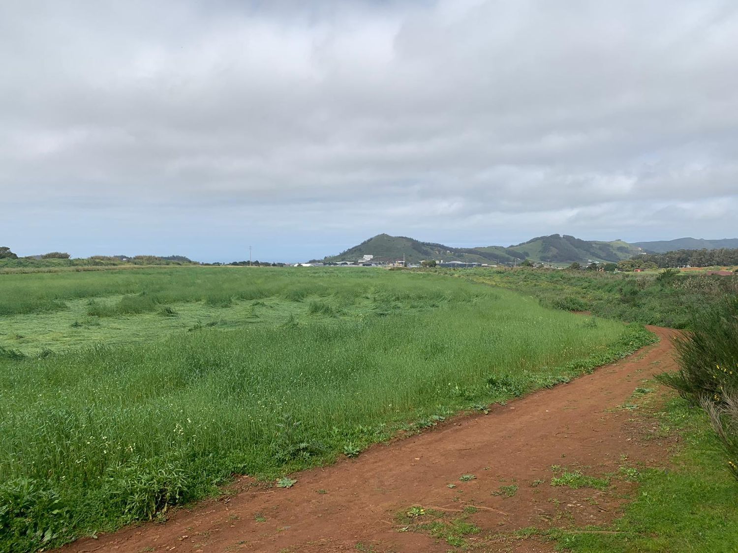 Terrenos en San Cristóbal de La Laguna, LA LAGUNA — imagen 10