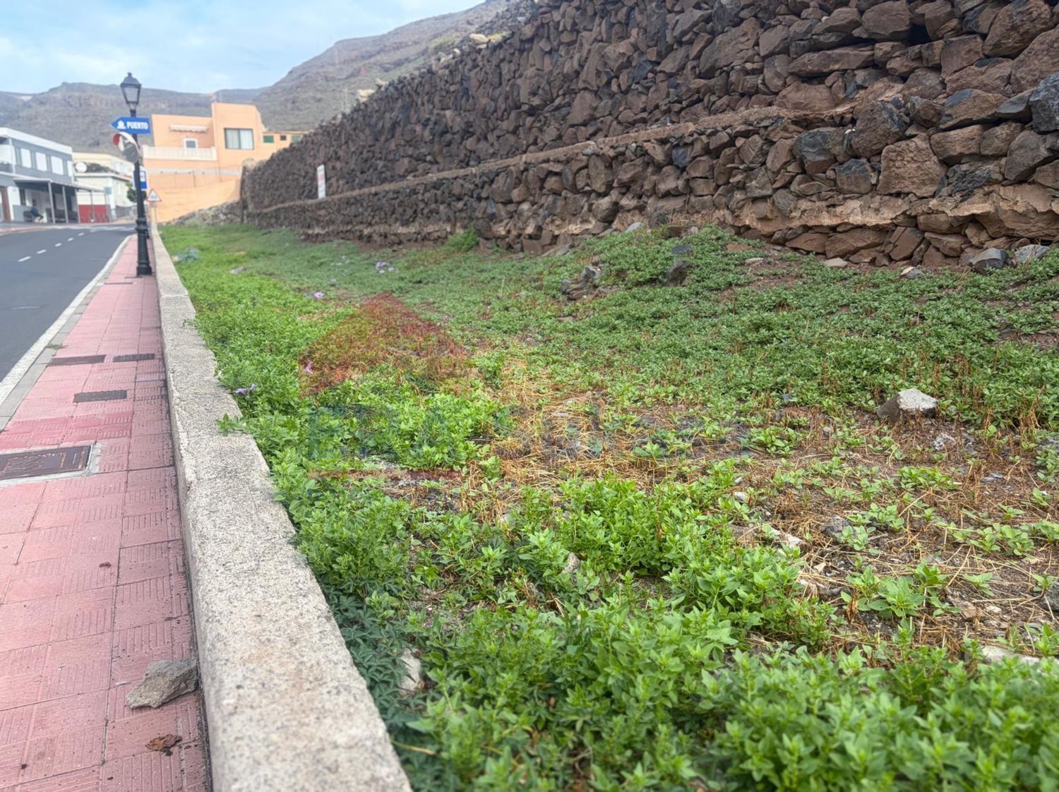 Terrenos en Alajeró — imagen 6
