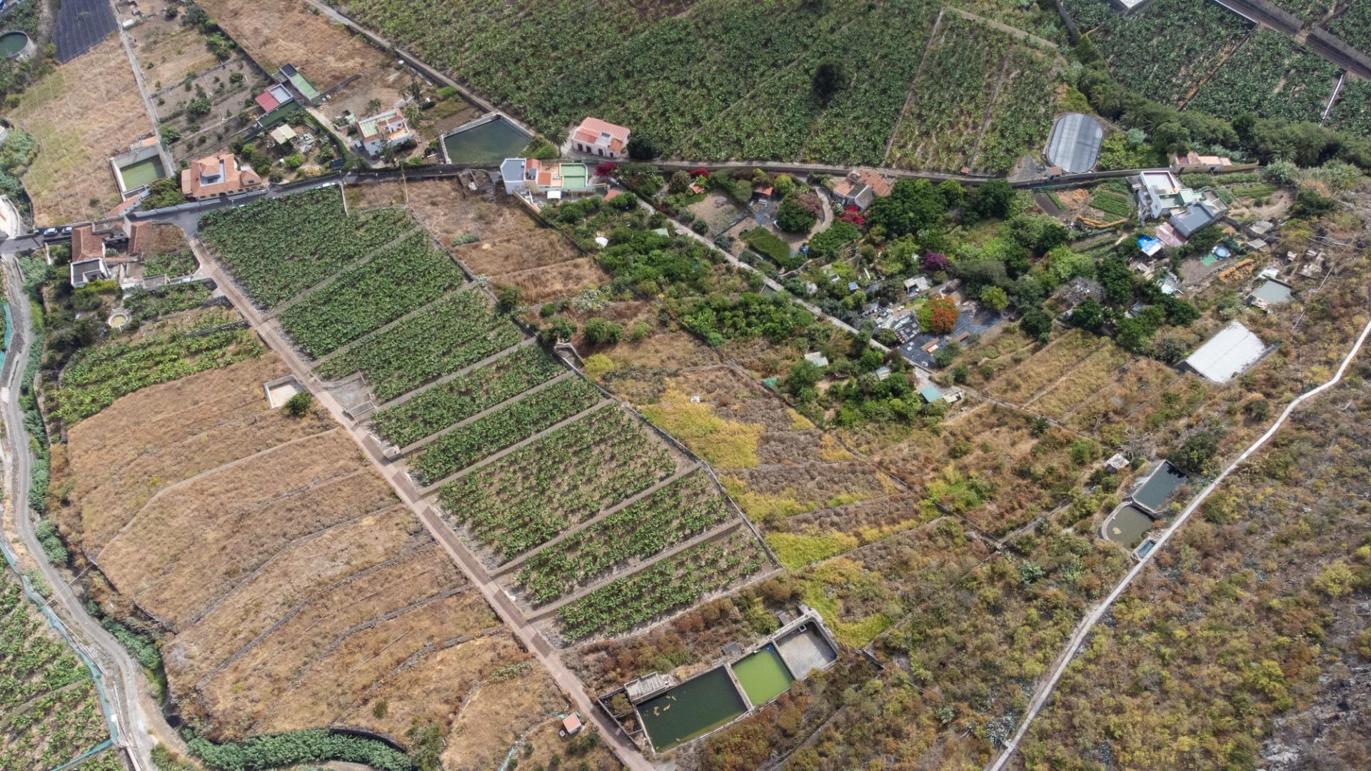 Casas rústicas en Silos, Los, Zona Centro — imagen 5