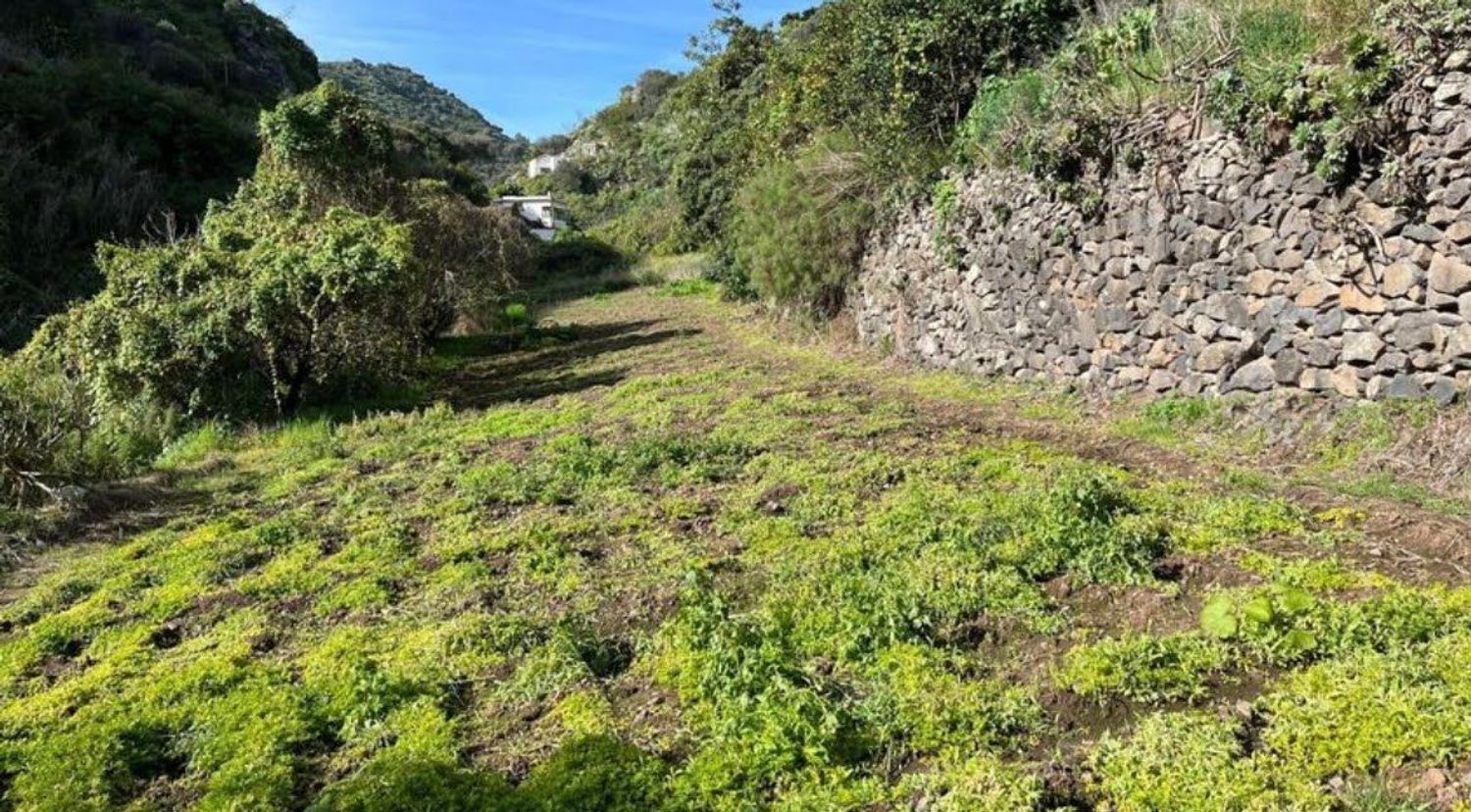 Terrenos en Palmas de Gran Canaria, Las, San Lorenzo — imagen 2