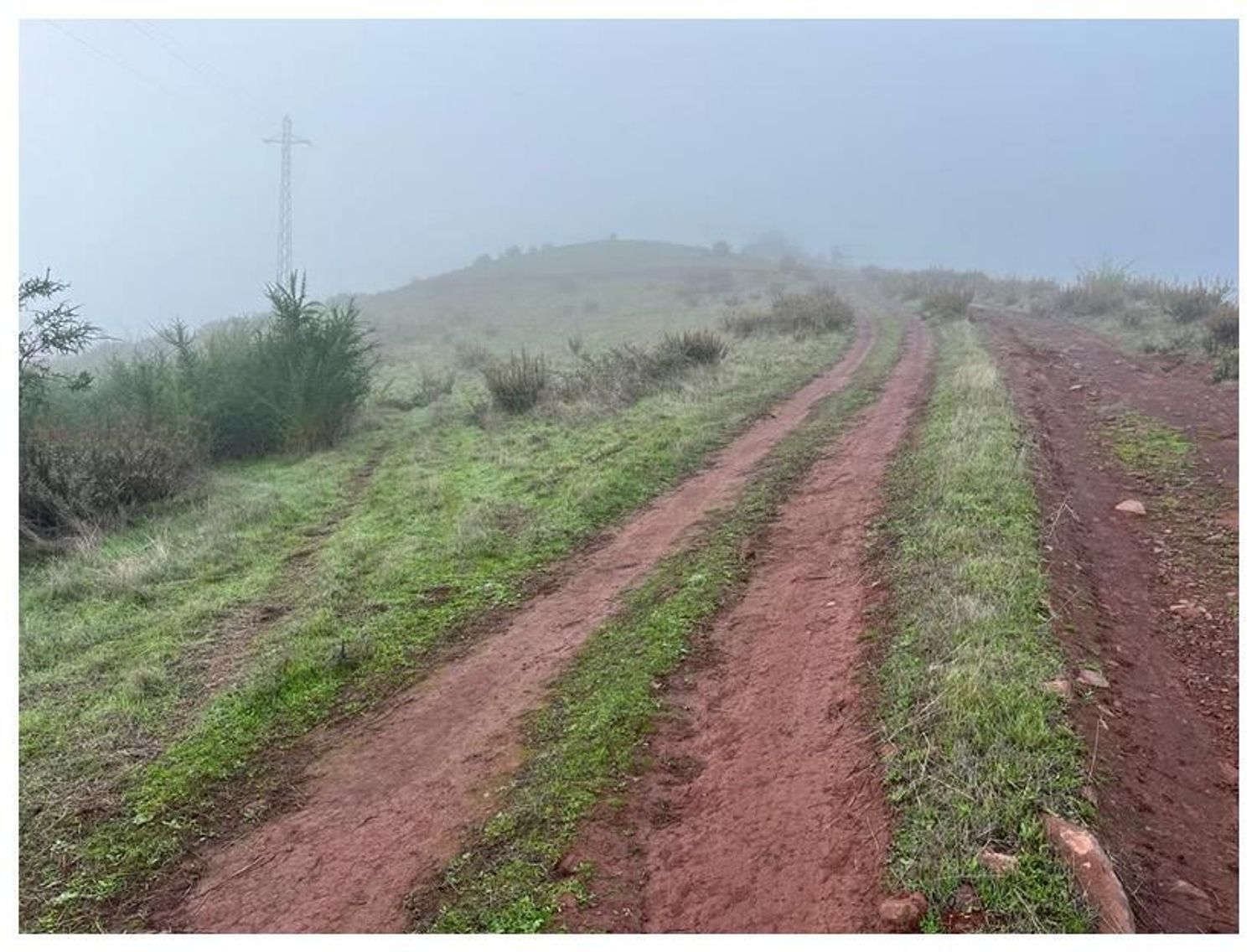 Terrenos en Moya — imagen 13